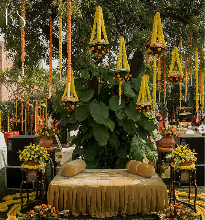 Jain Palace | Best lawn in Varanasi | Best banquet in Varanasi, Varanasi — photo 6