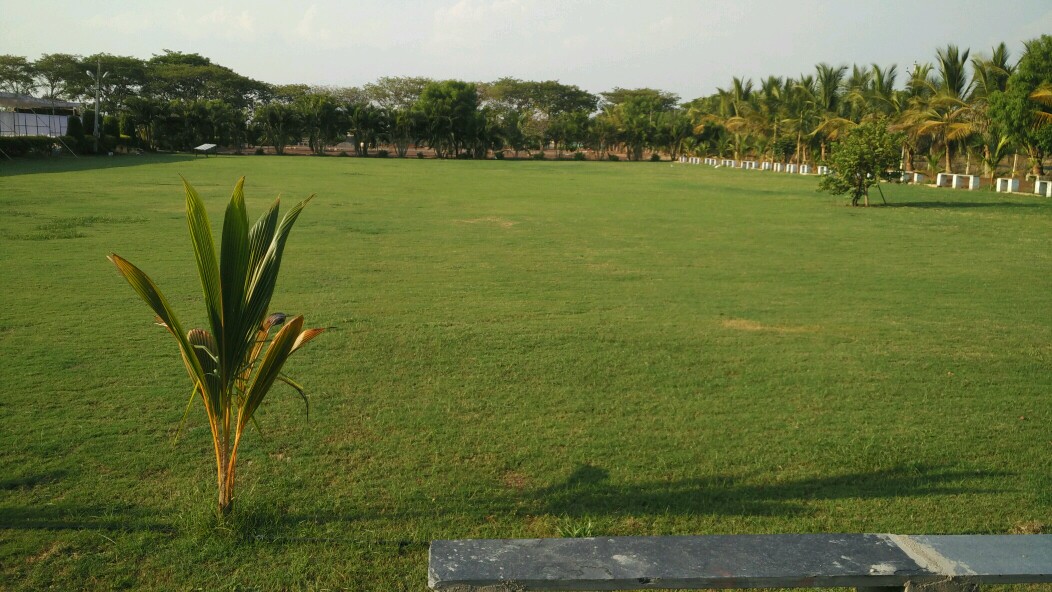 Siva Gardens, Nandyal, Andhra Pradesh, India, Nandyal — photo 9