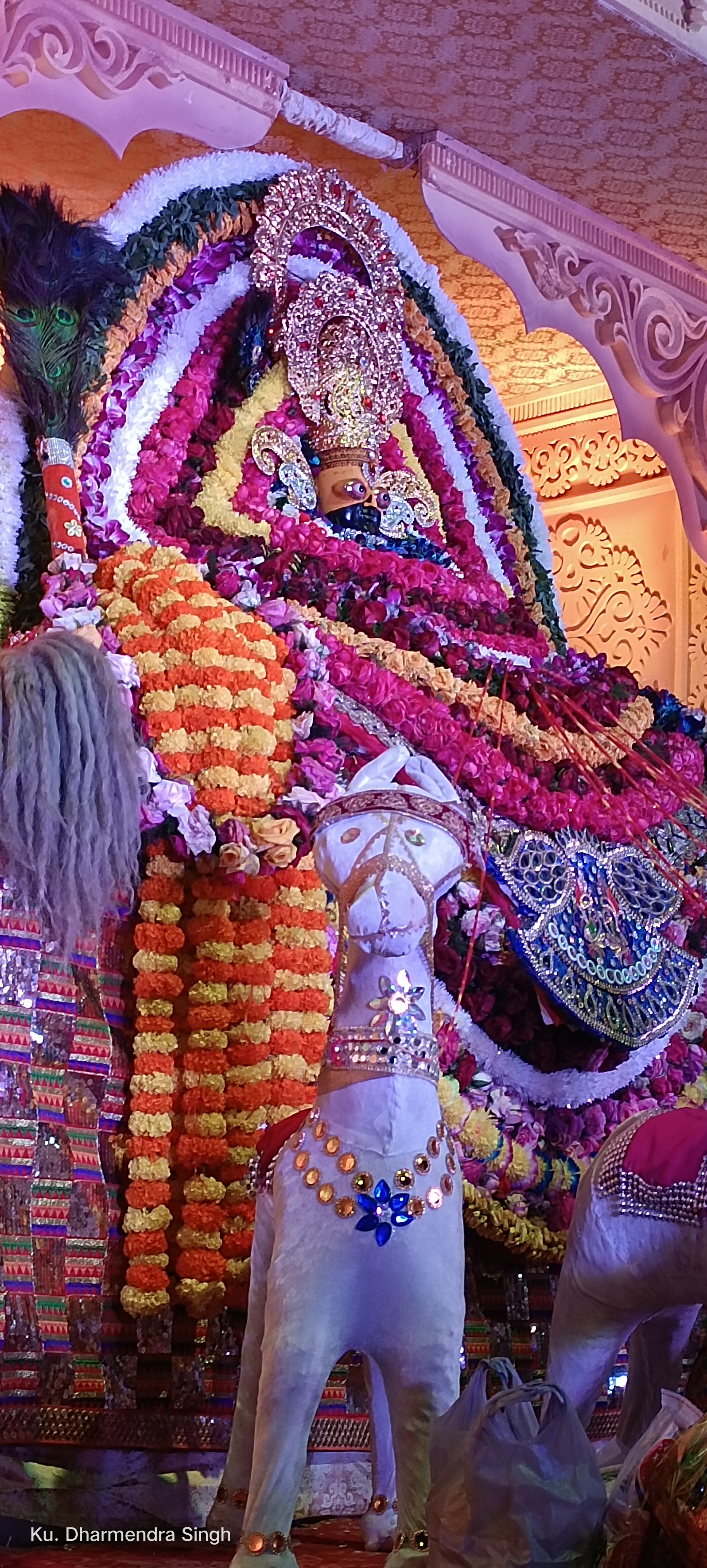 Shree Shyam Garden, Ujjain — photo 2