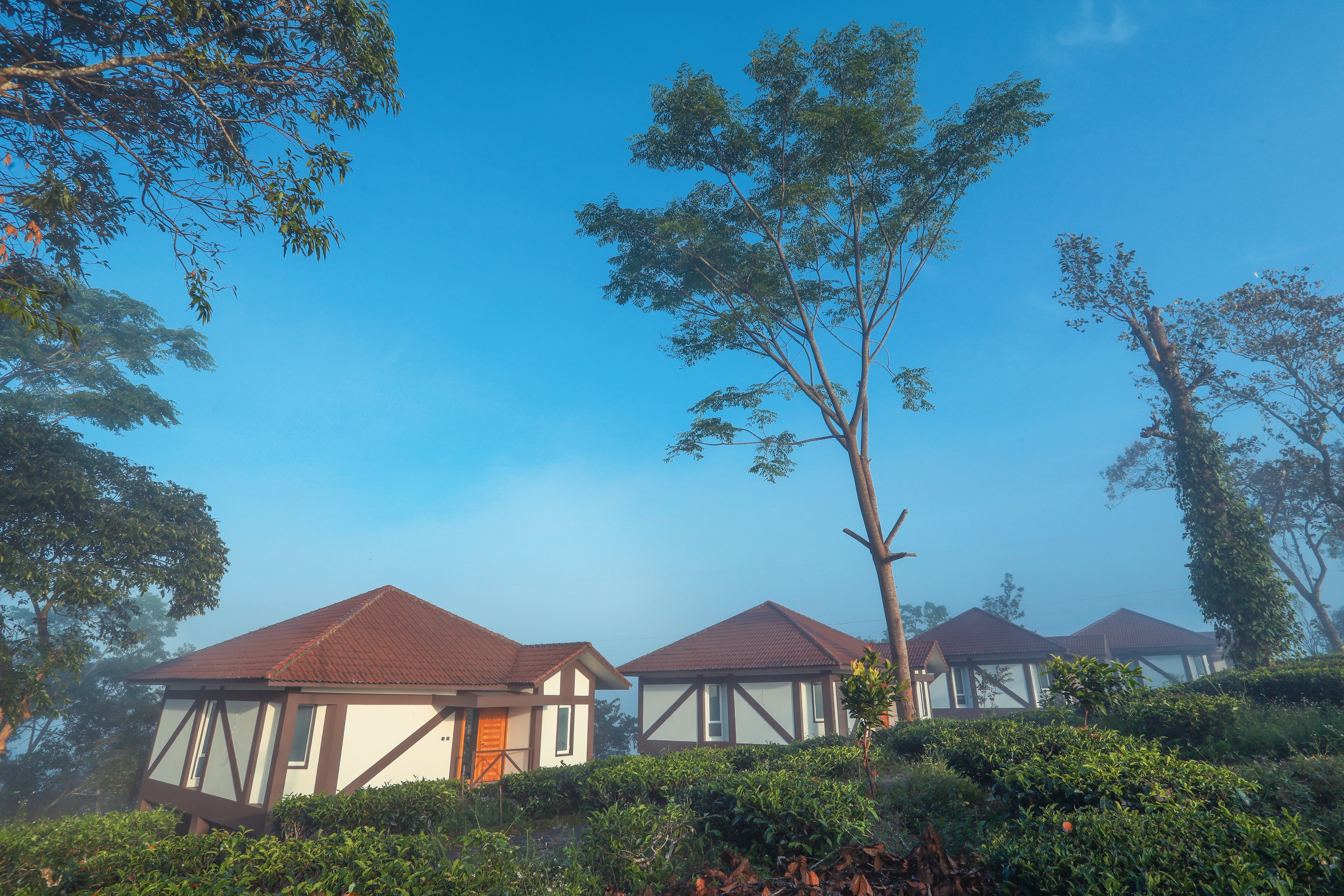Jeevess Retreat Wayanad, Pozhuthana — photo 7