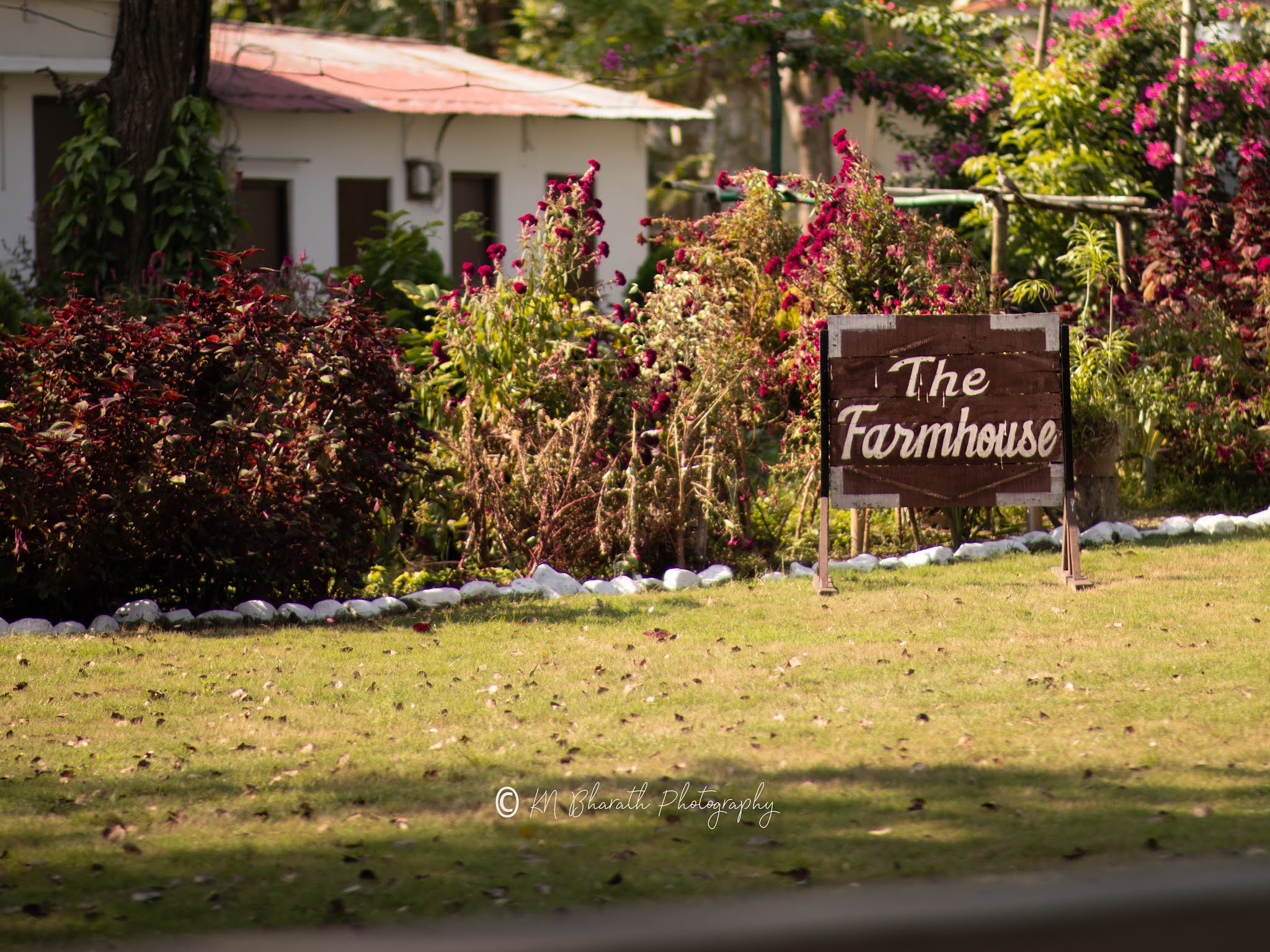 The Farmhouse Siliguri, Siliguri — photo 6