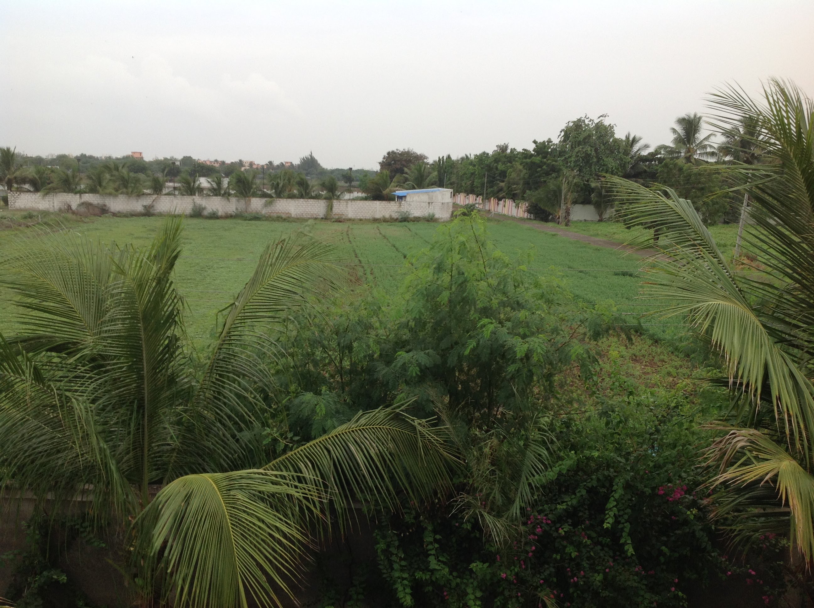 Avsar party plot, Jamnagar — photo 6