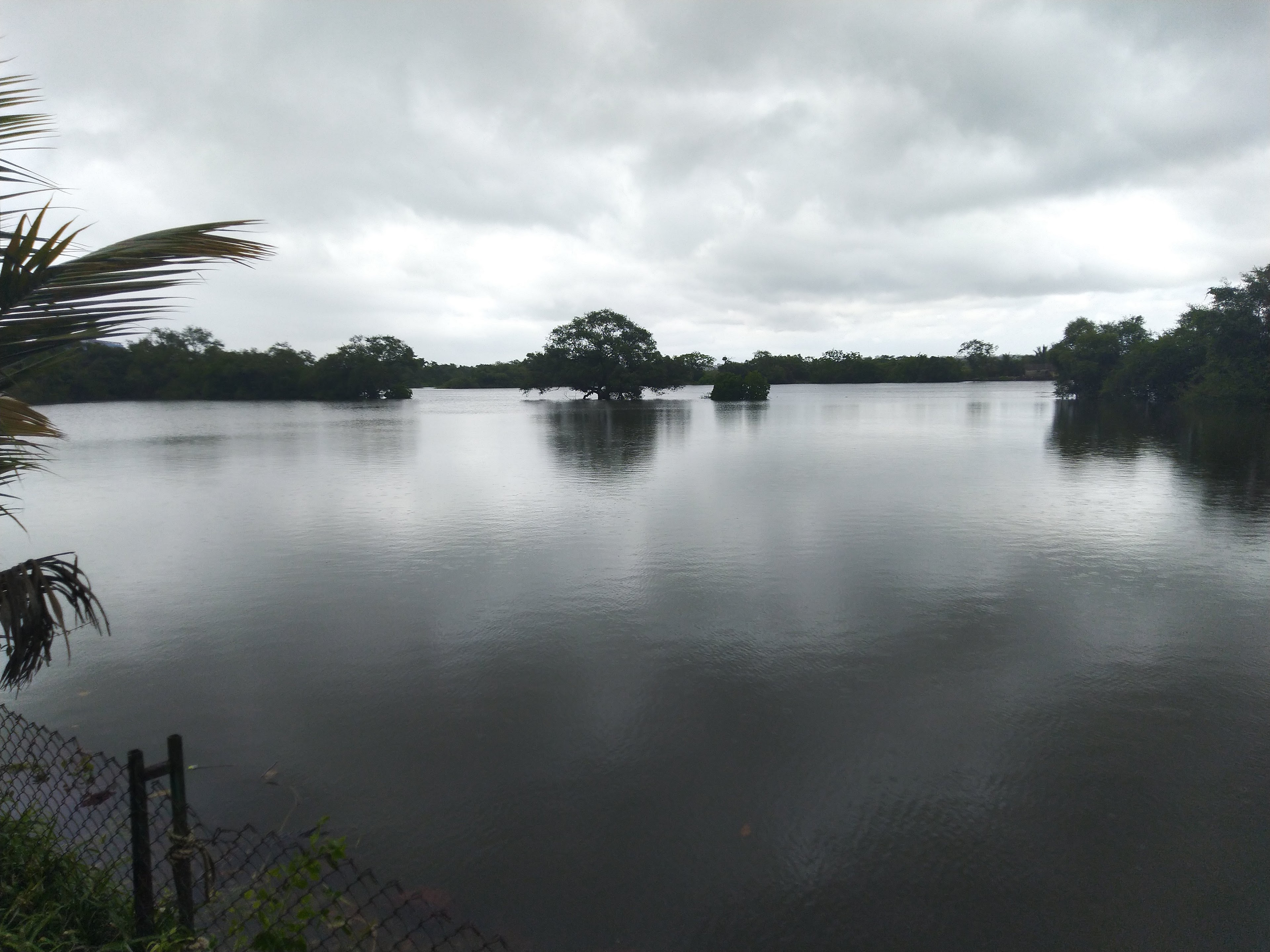 The Backwaters, Panaji — photo 6