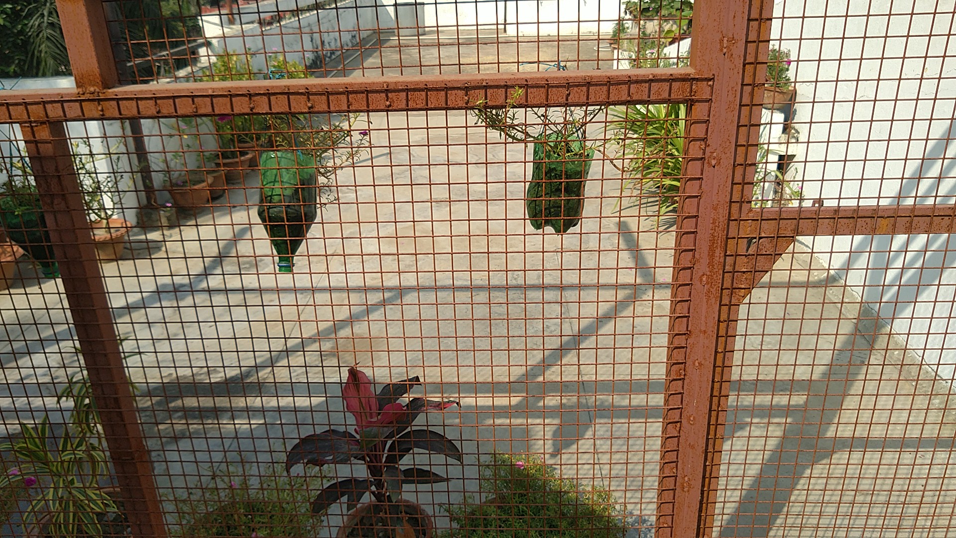 Ram Villa, Prayagraj — photo 9