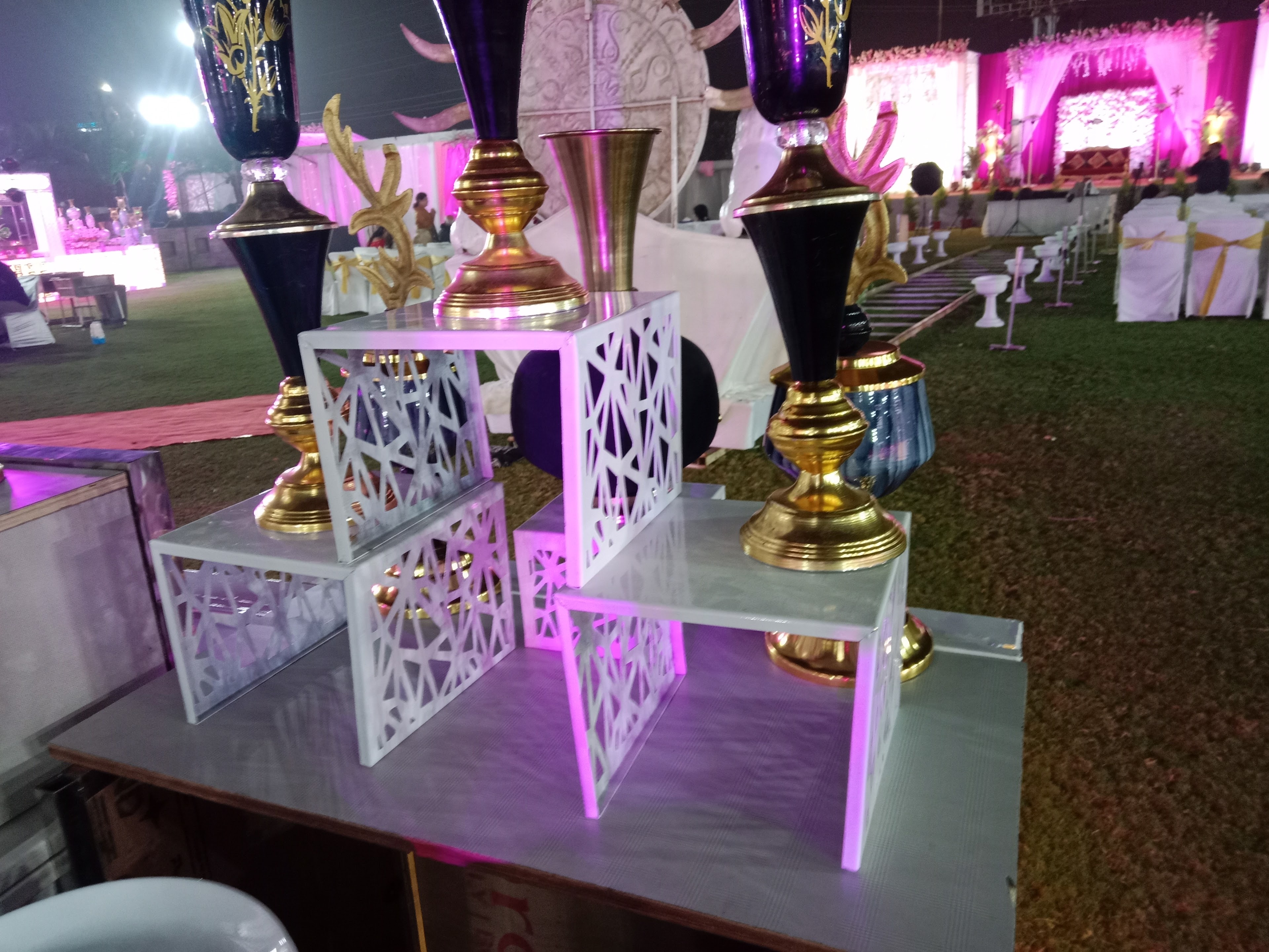 Sajan Prabha Marriage Garden, Indore — photo 10
