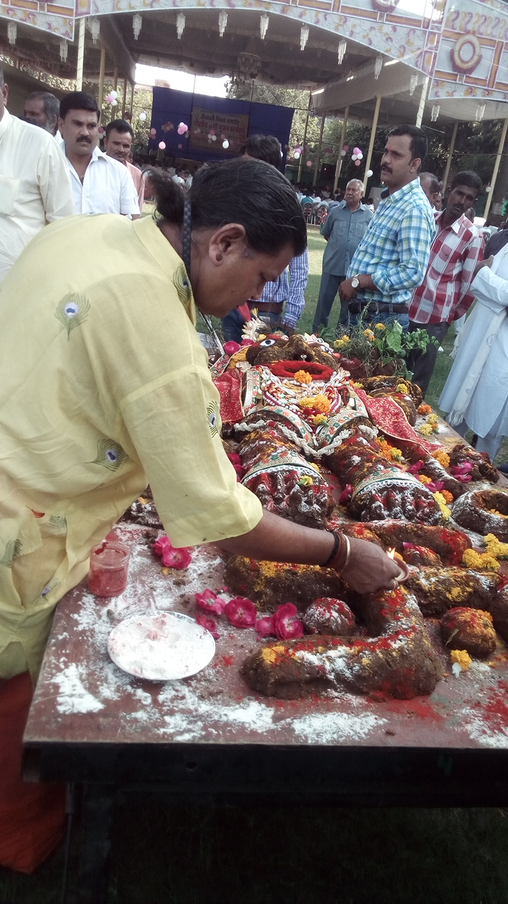 Krishnayan Garden कृष्णायन गार्डन, Gwalior — photo 8