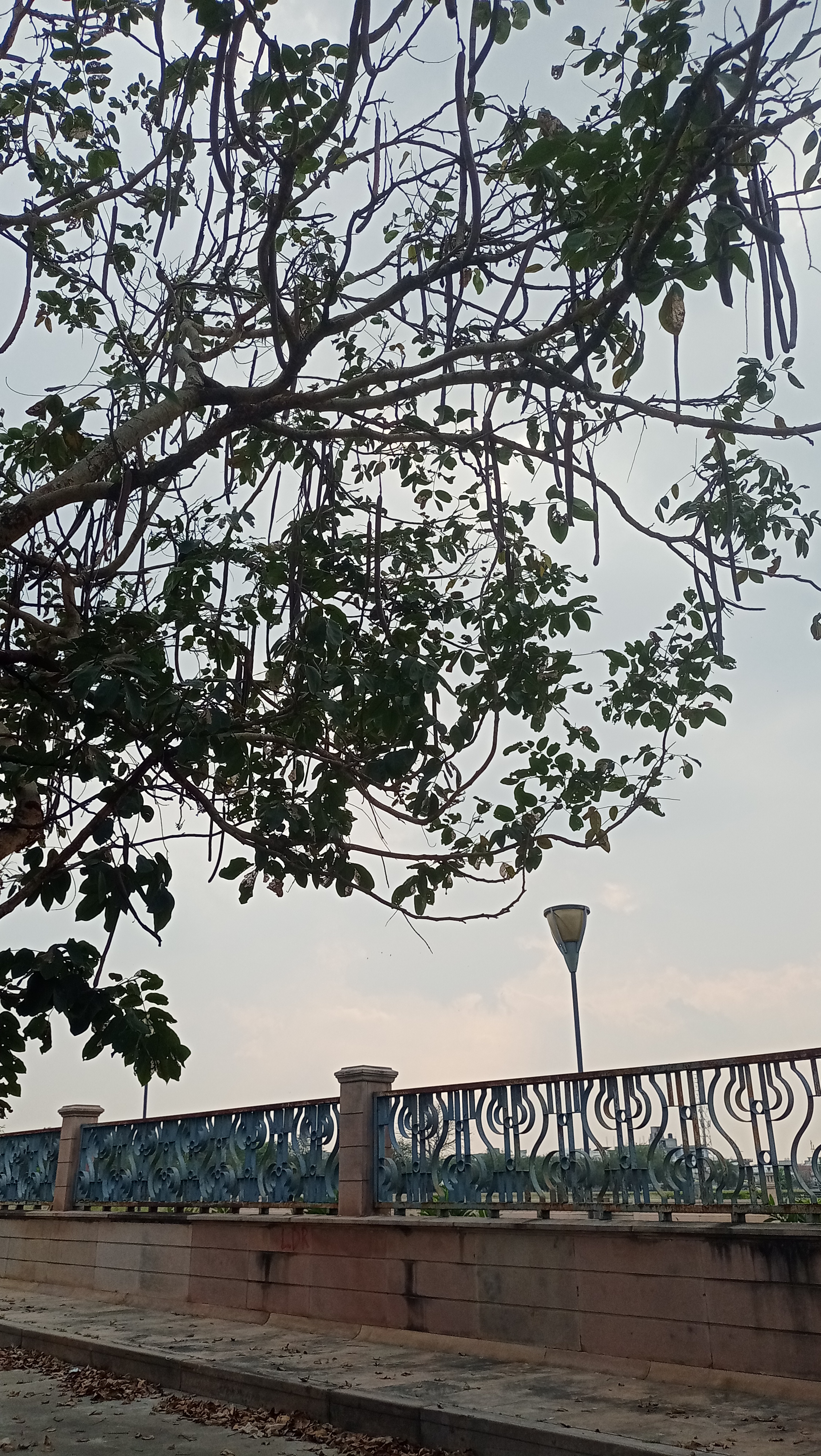 Regalia Greens, Lucknow — photo 10