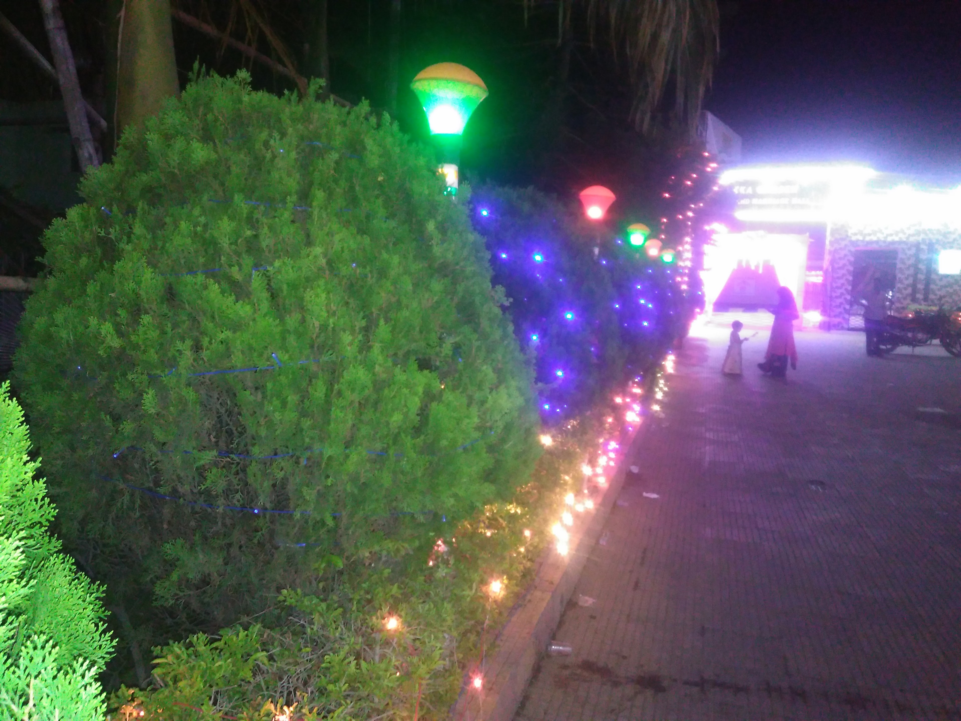 Akka Garden, Jamshedpur — photo 10