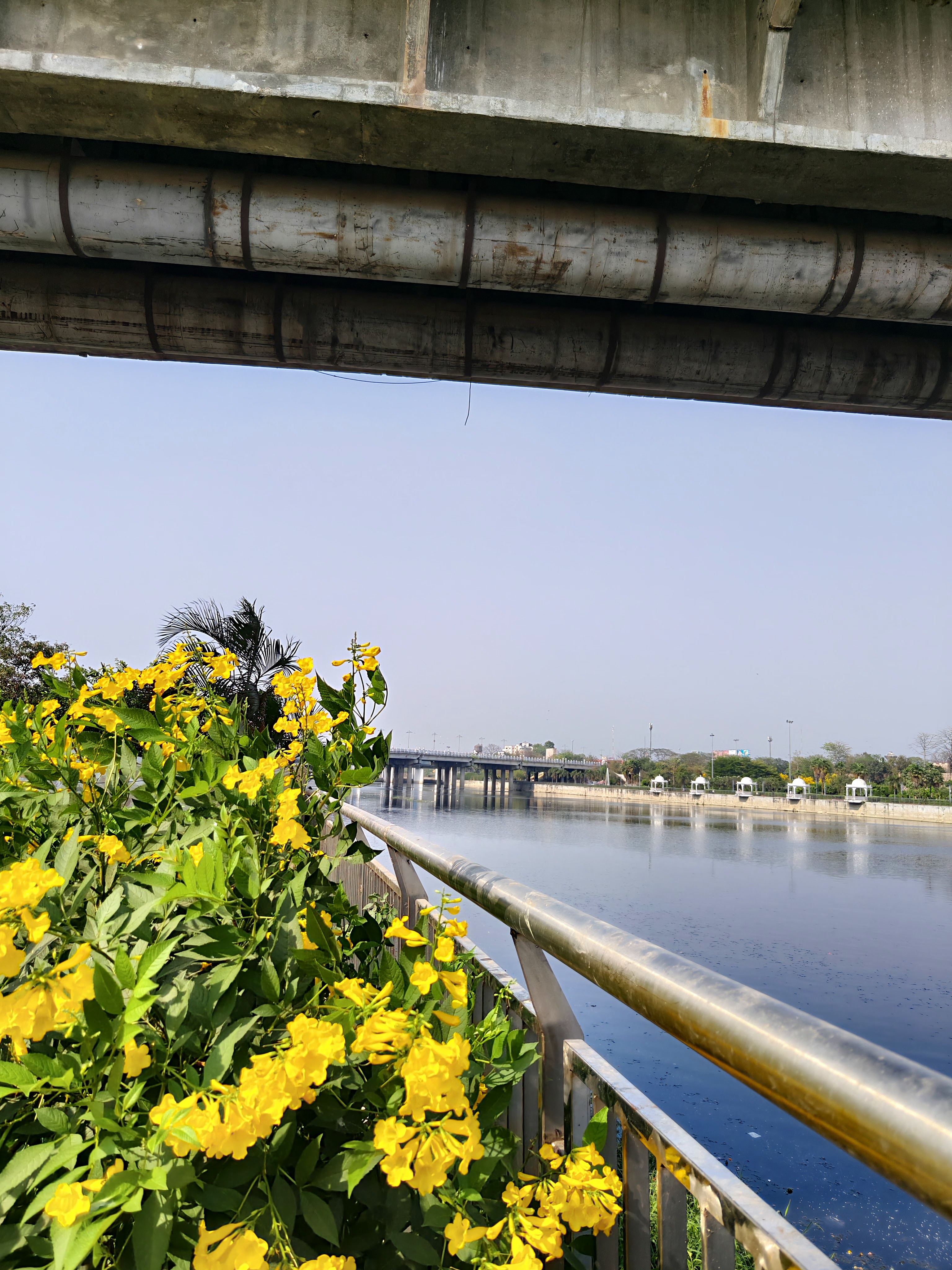 Regalia Greens, Lucknow — photo 8