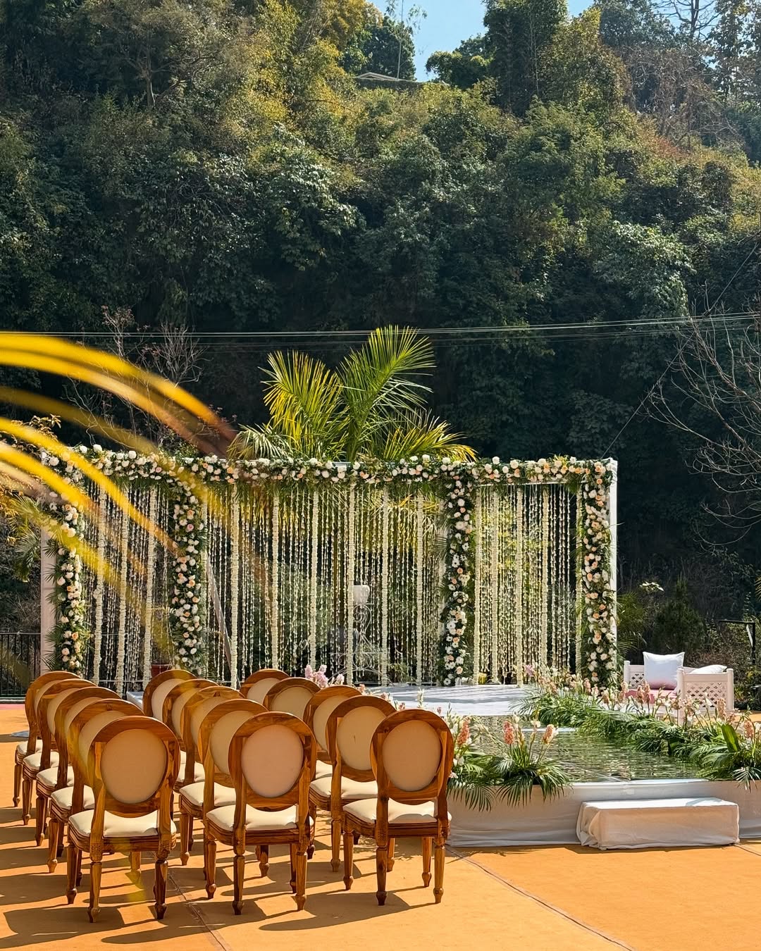 Pleasant Tree Hotels - Destination Wedding in Dehradun, Dehradun — photo 9