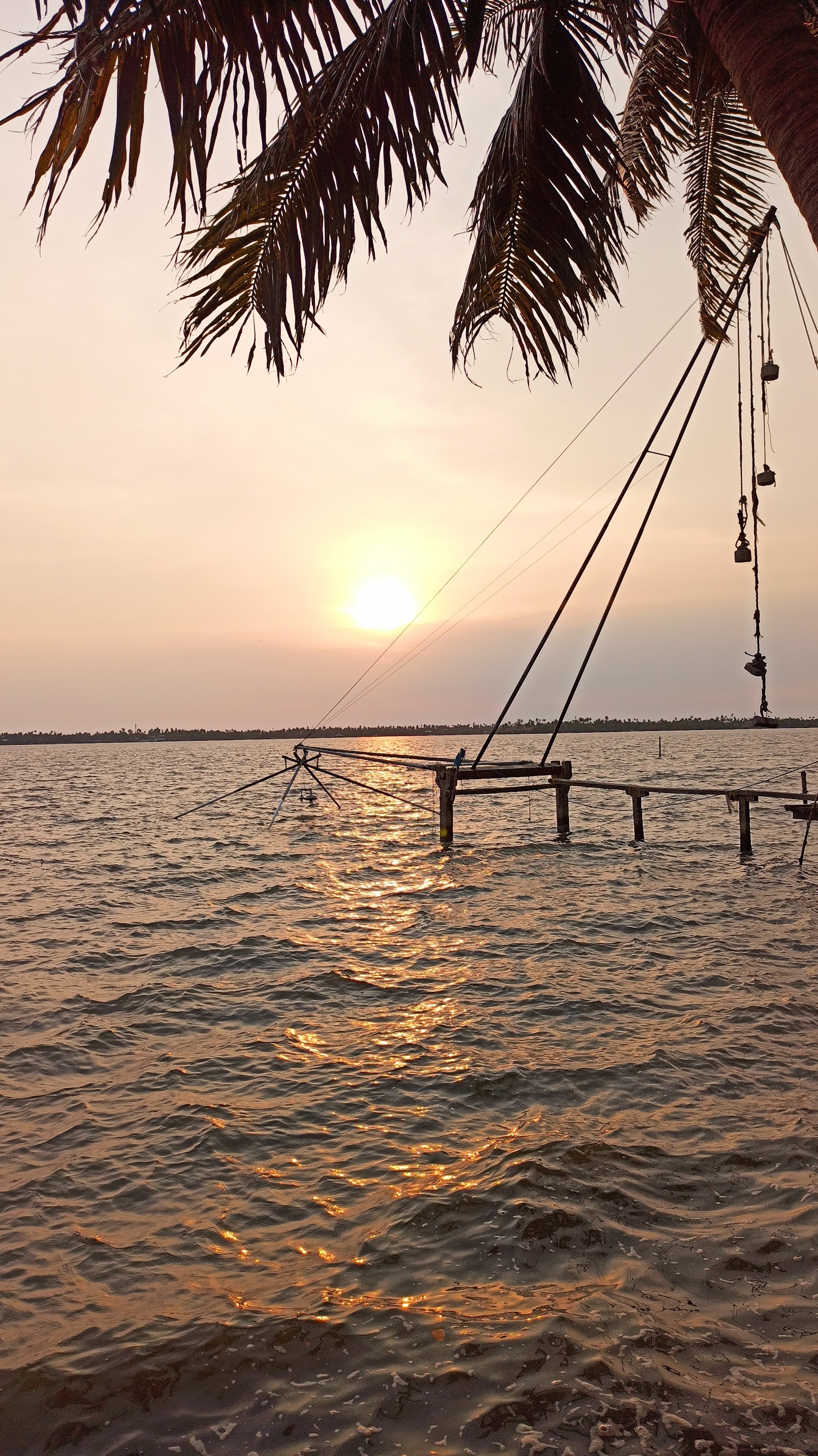 GREEN NEST KUMBALANGI, Kochi — photo 7