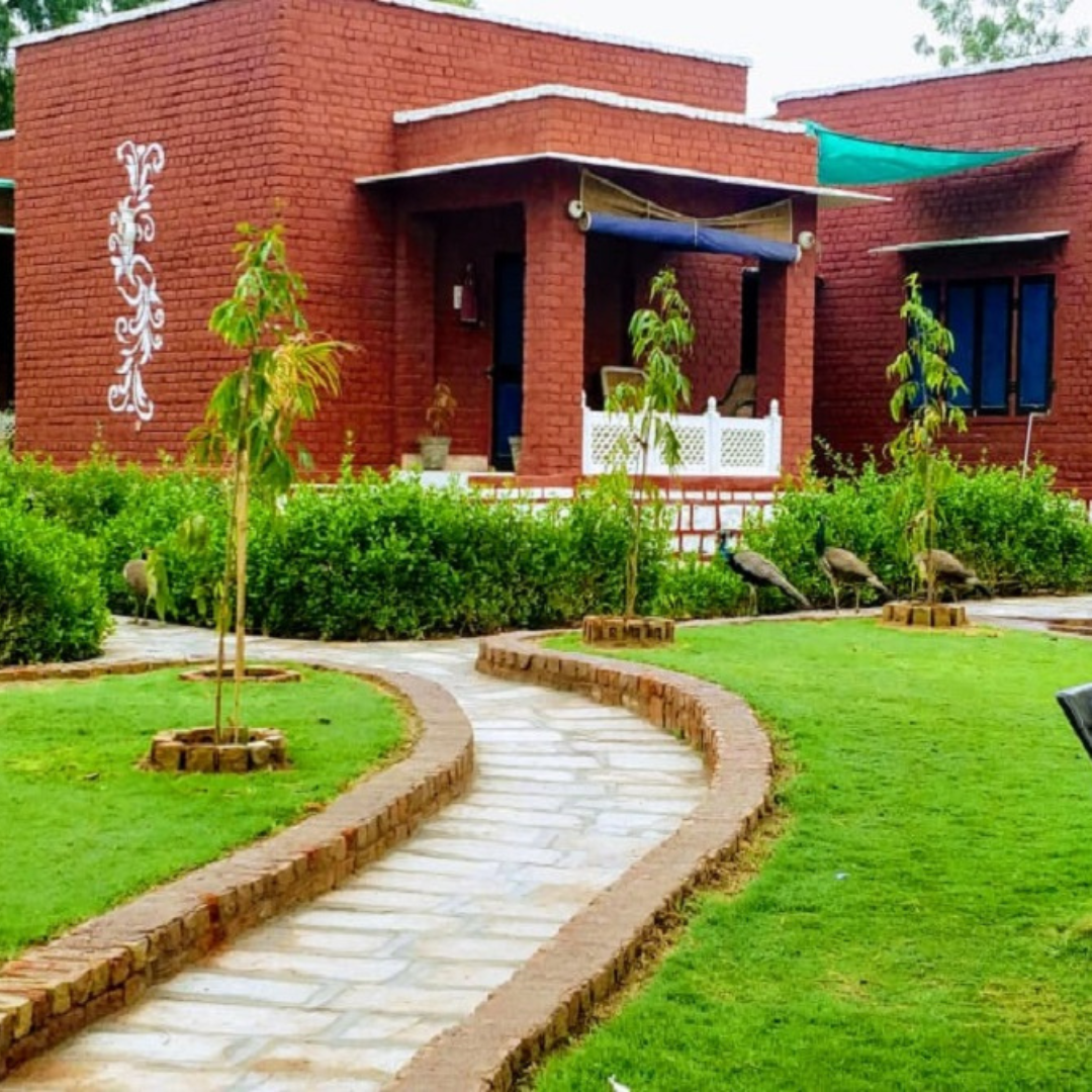 Thar Exotica Hotel & Resort Bikaner, Bikaner — photo 9