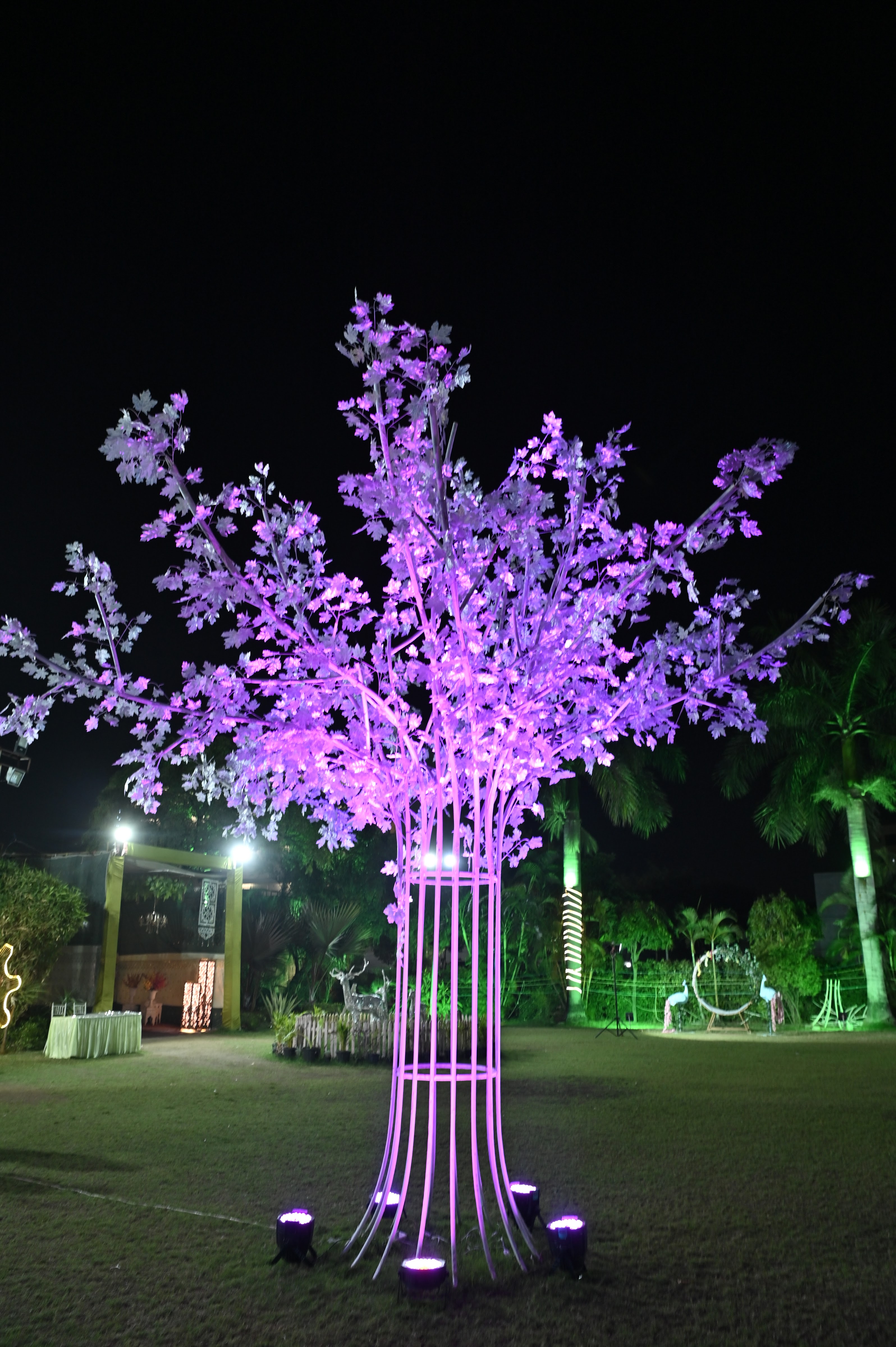 Park Palace, Raipur — photo 7