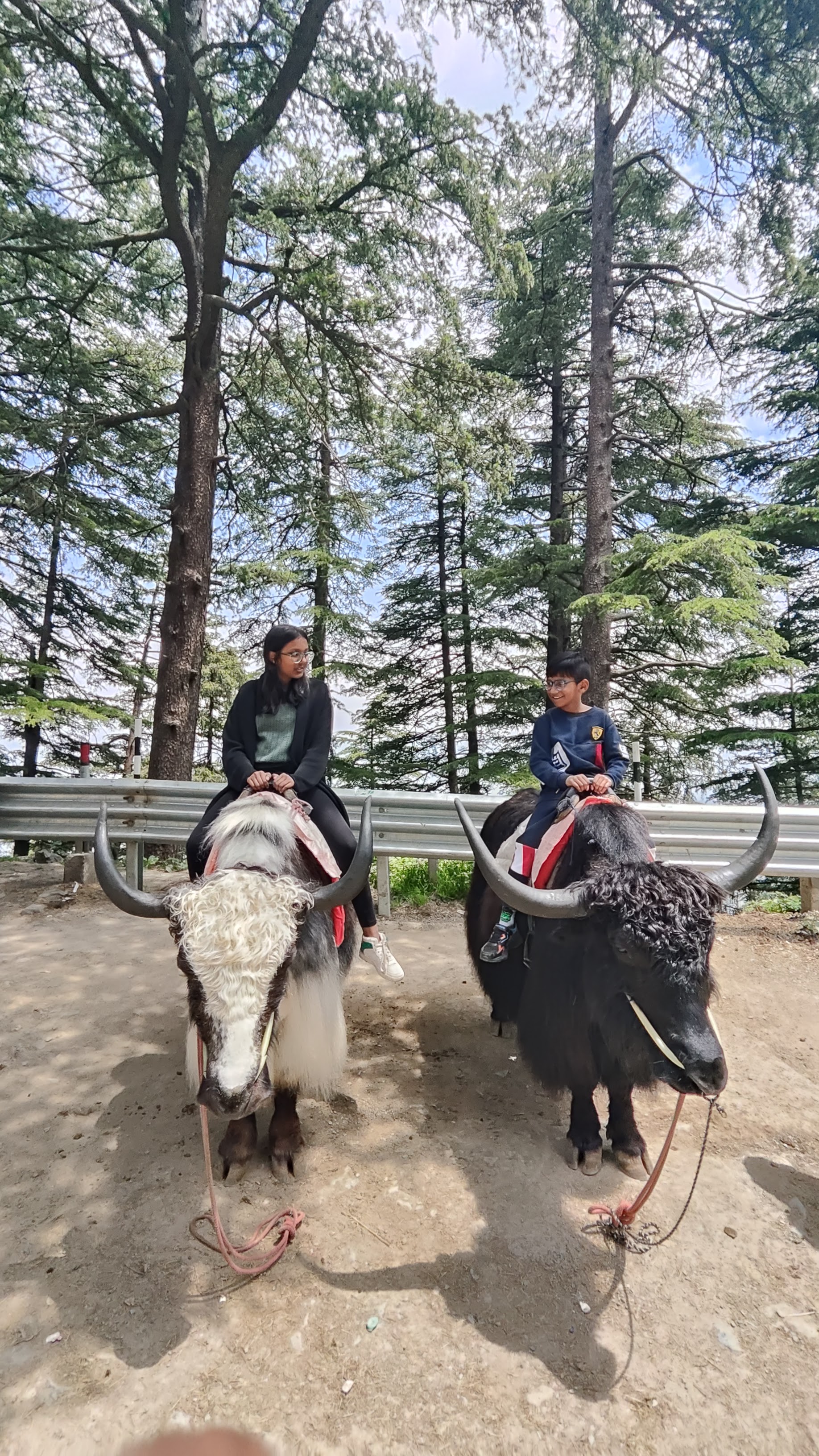 Wildflower Hall, An Oberoi Resort, Shimla, Shimla — photo 5