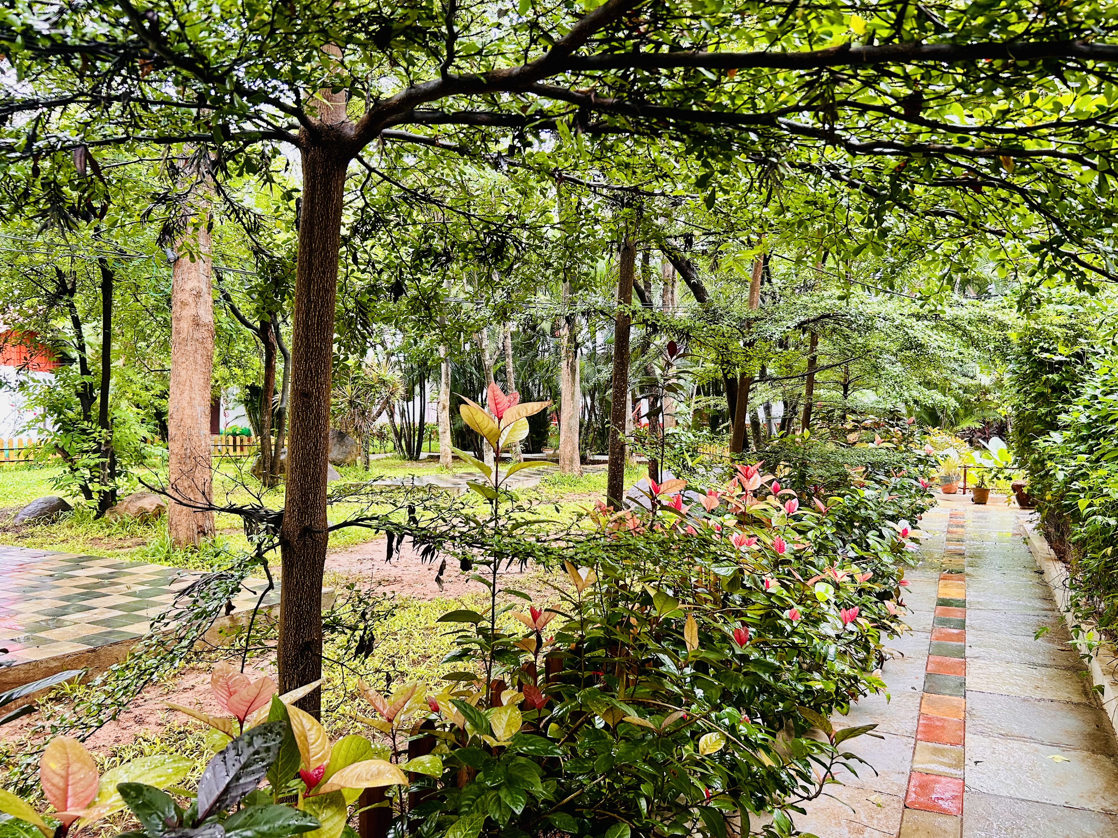 Countryside Resorts, Hyderabad — photo 7