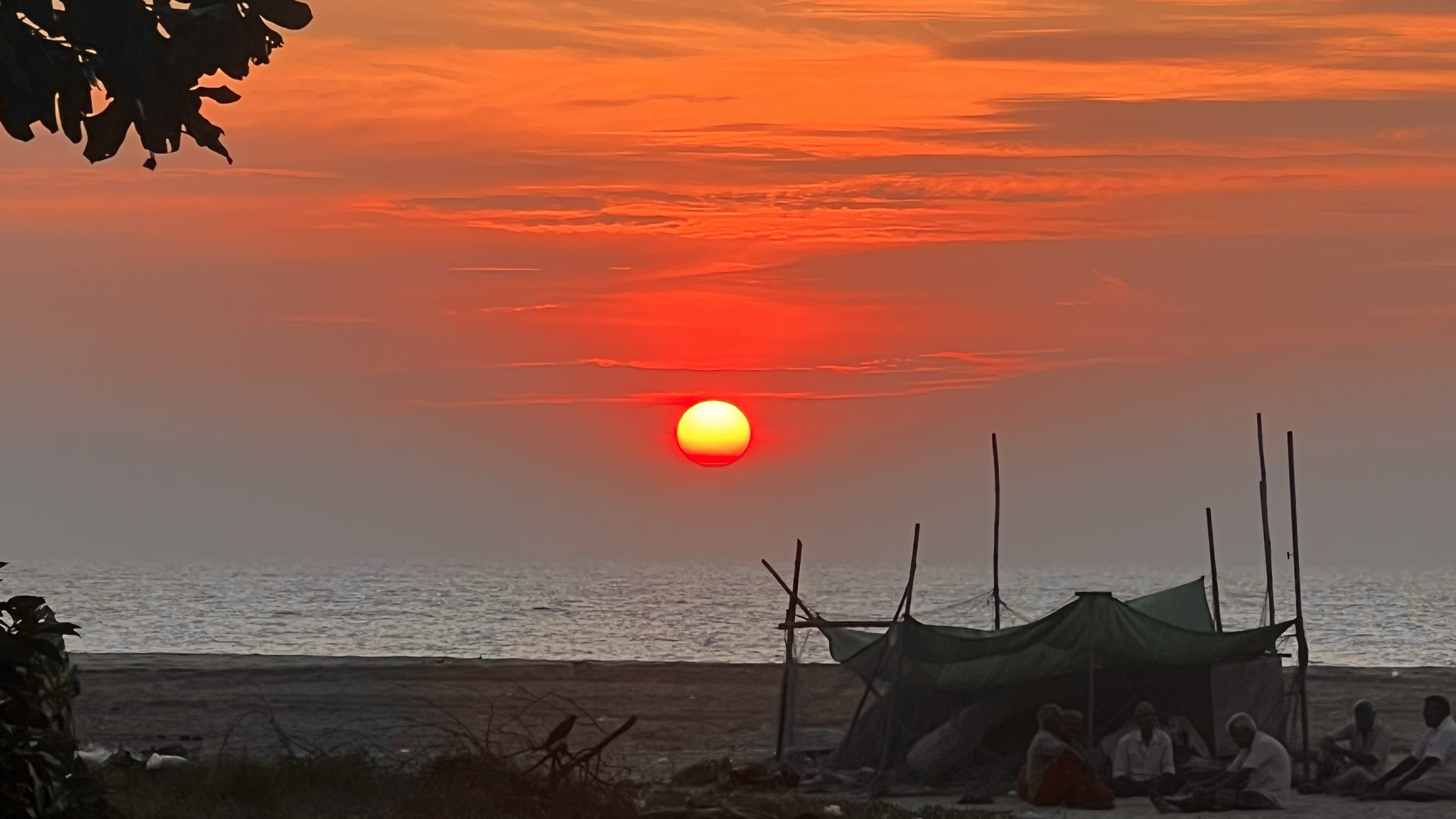 Lemon Dew Beach House, Alappuzha — photo 8