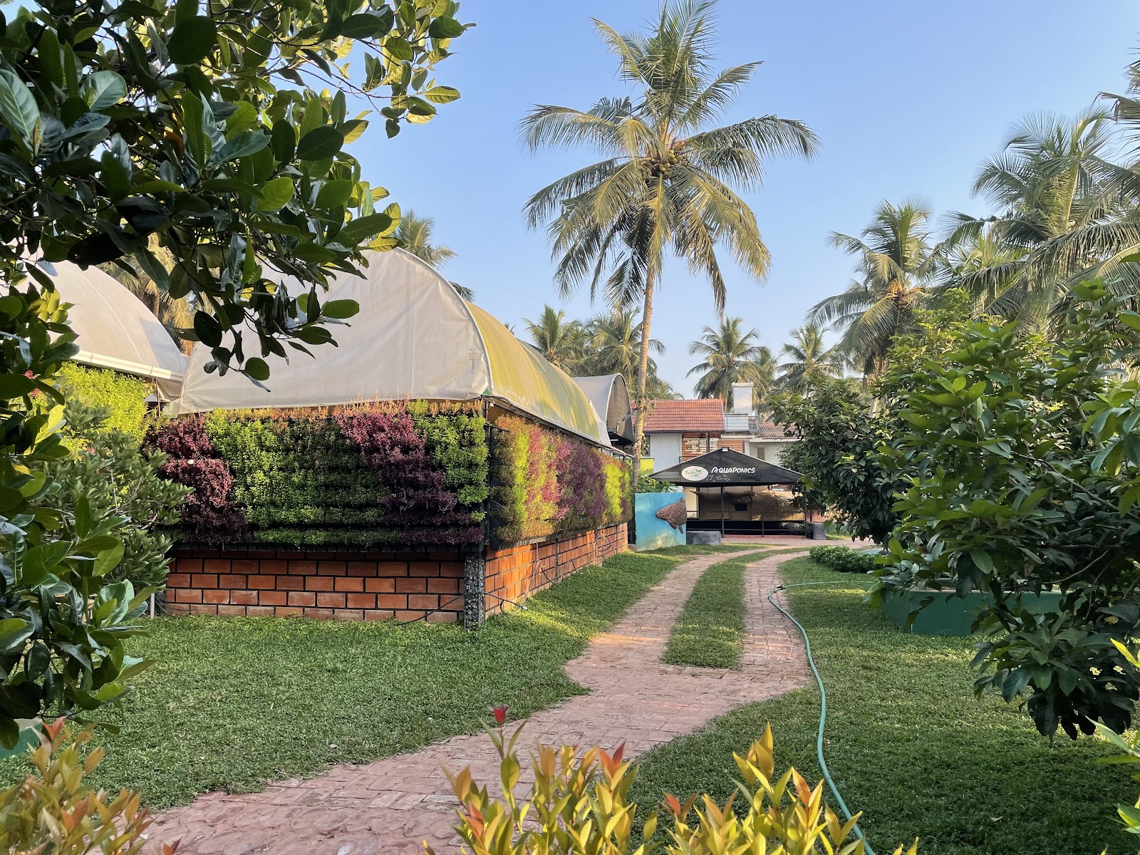 Farm Rock Garden, Kozhikode — photo 6
