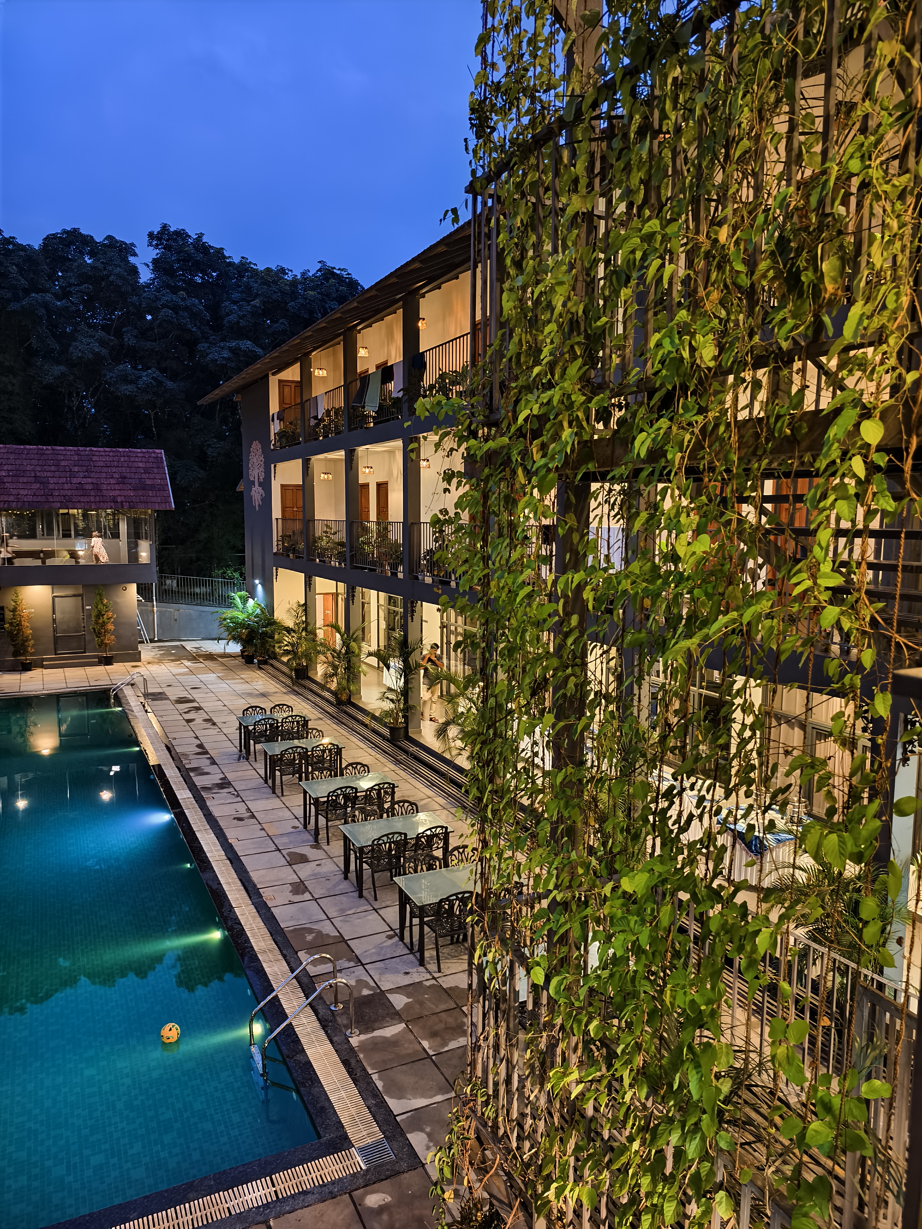 Fern Tree Resort, Kalpetta — photo 8