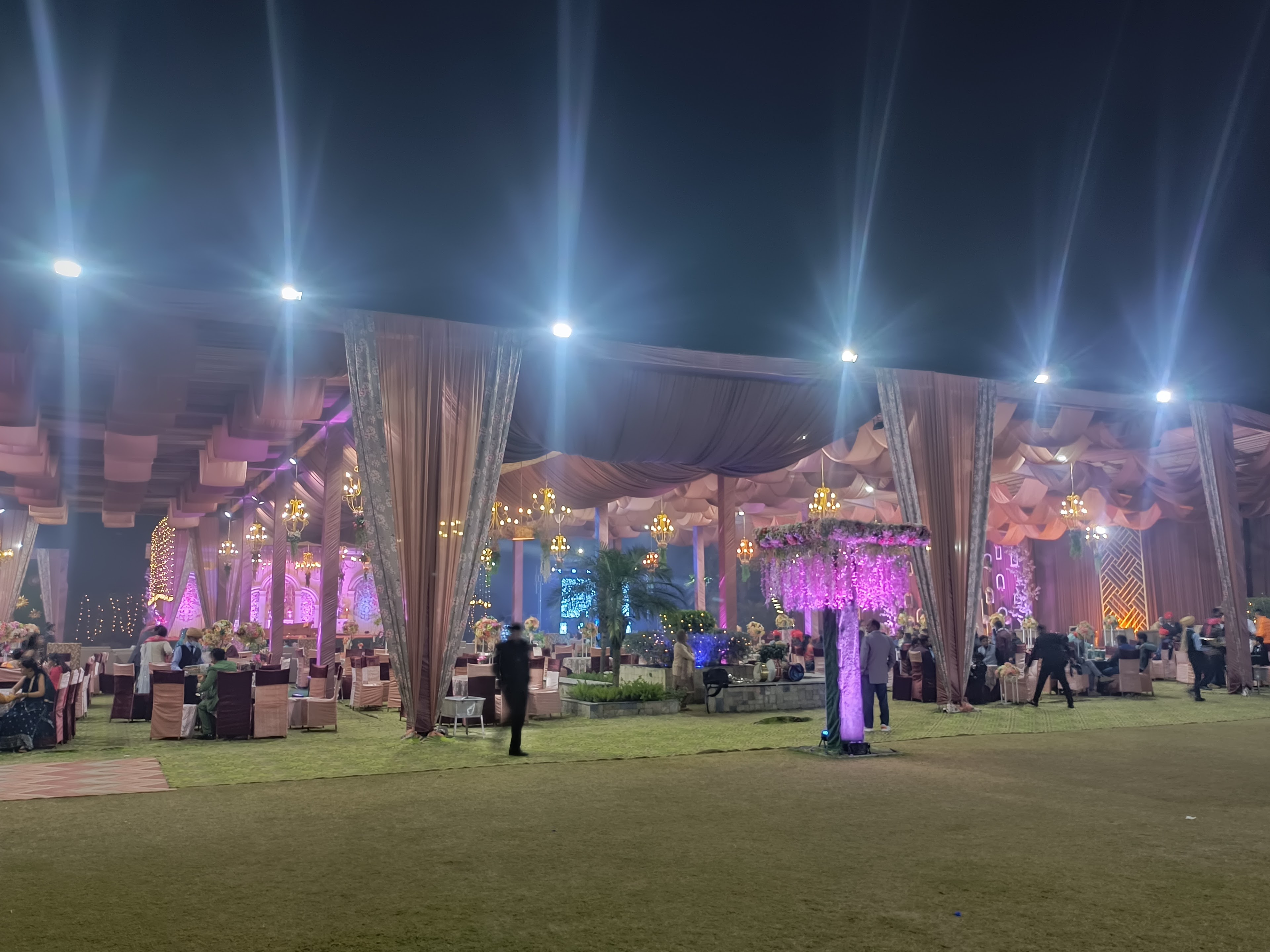 SS Farms, Mohali — photo 4