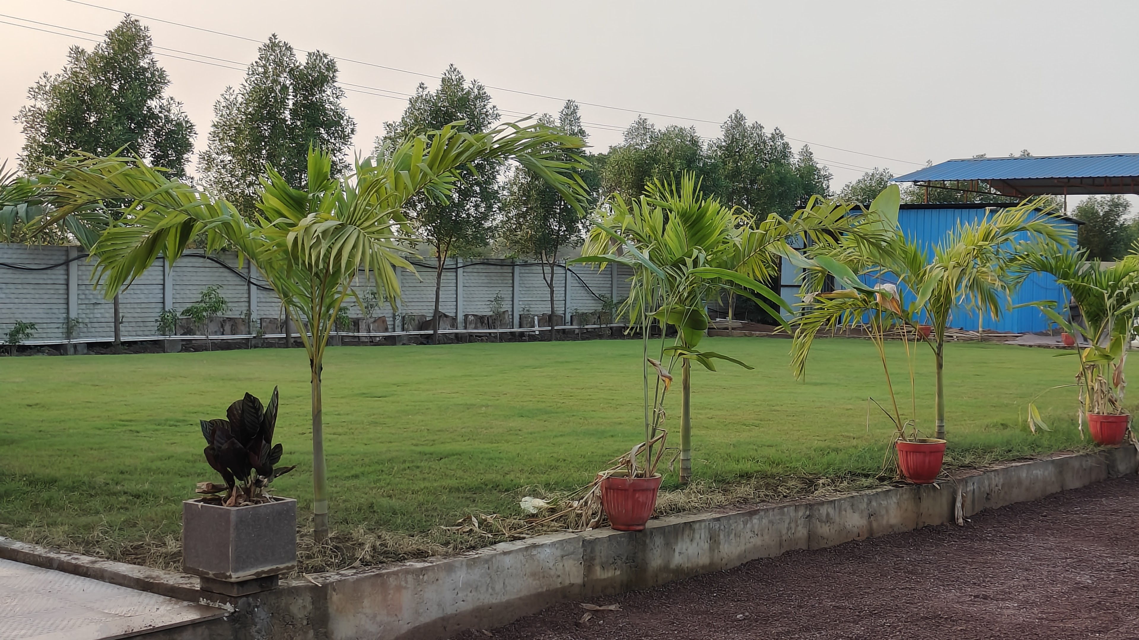Lagan Vatika, Bhilai — photo 3