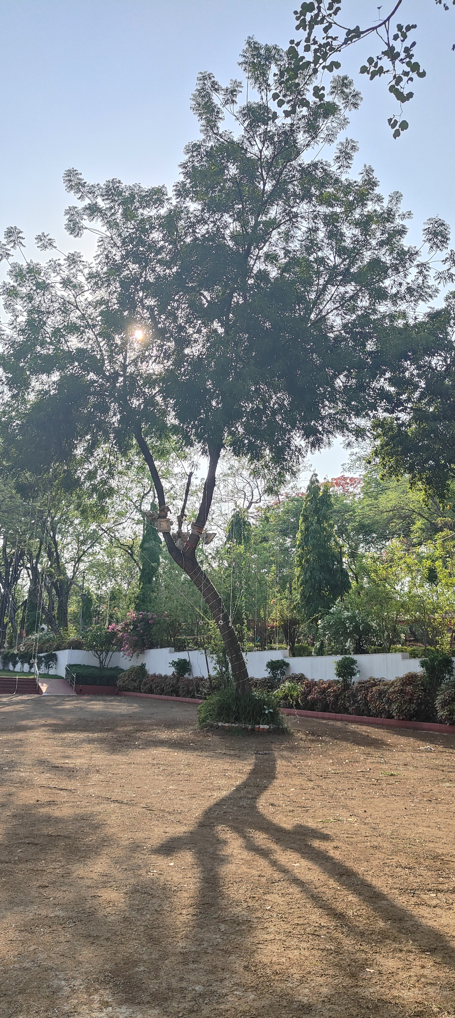 Shrishti Lawn, Nagpur — photo 7