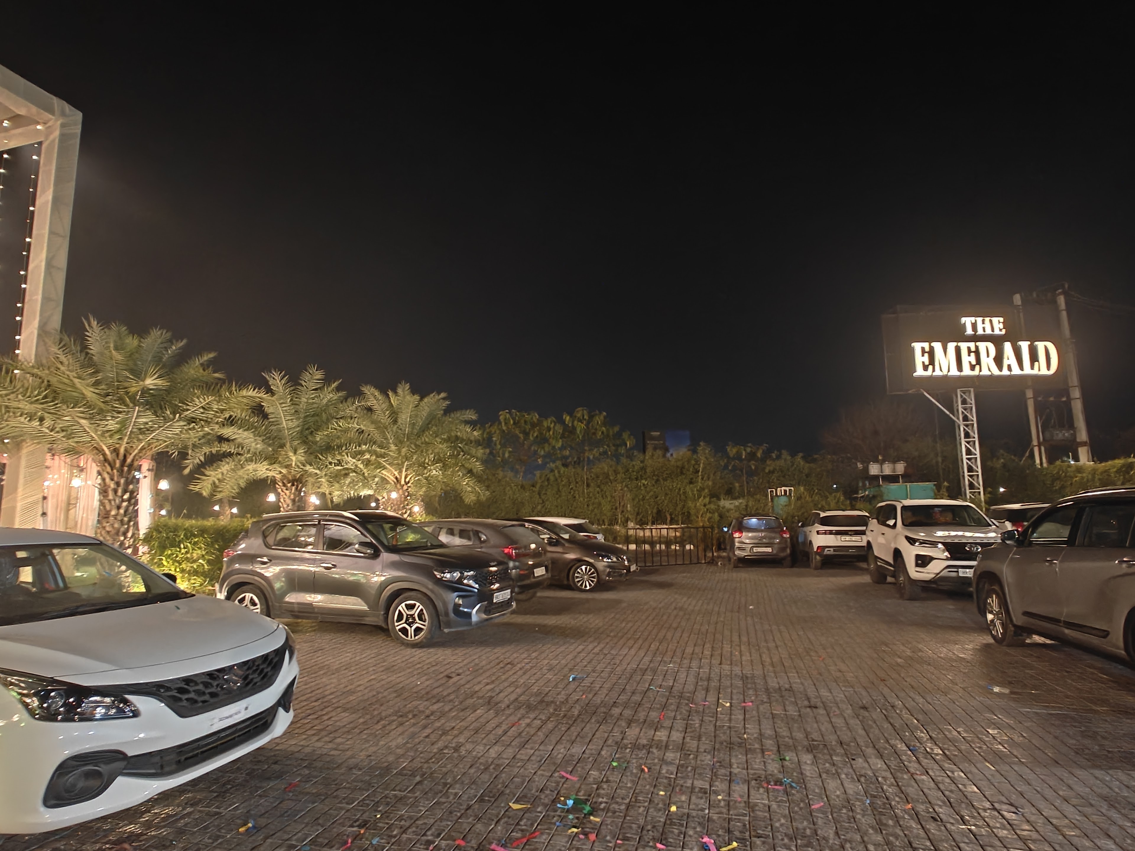 The Emerald, Karnal — photo 8