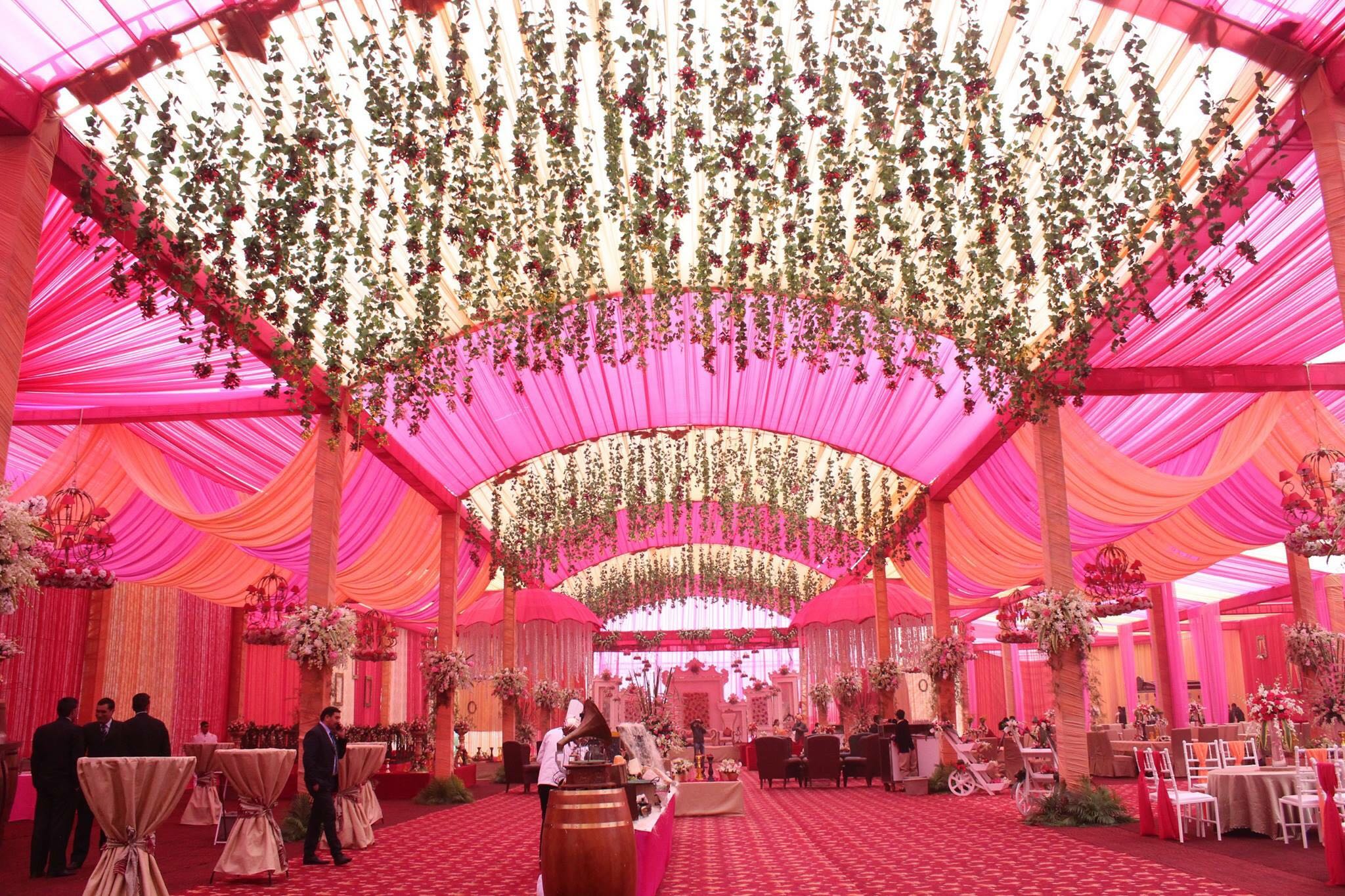 THE GRAND JD, Patiala — photo 8