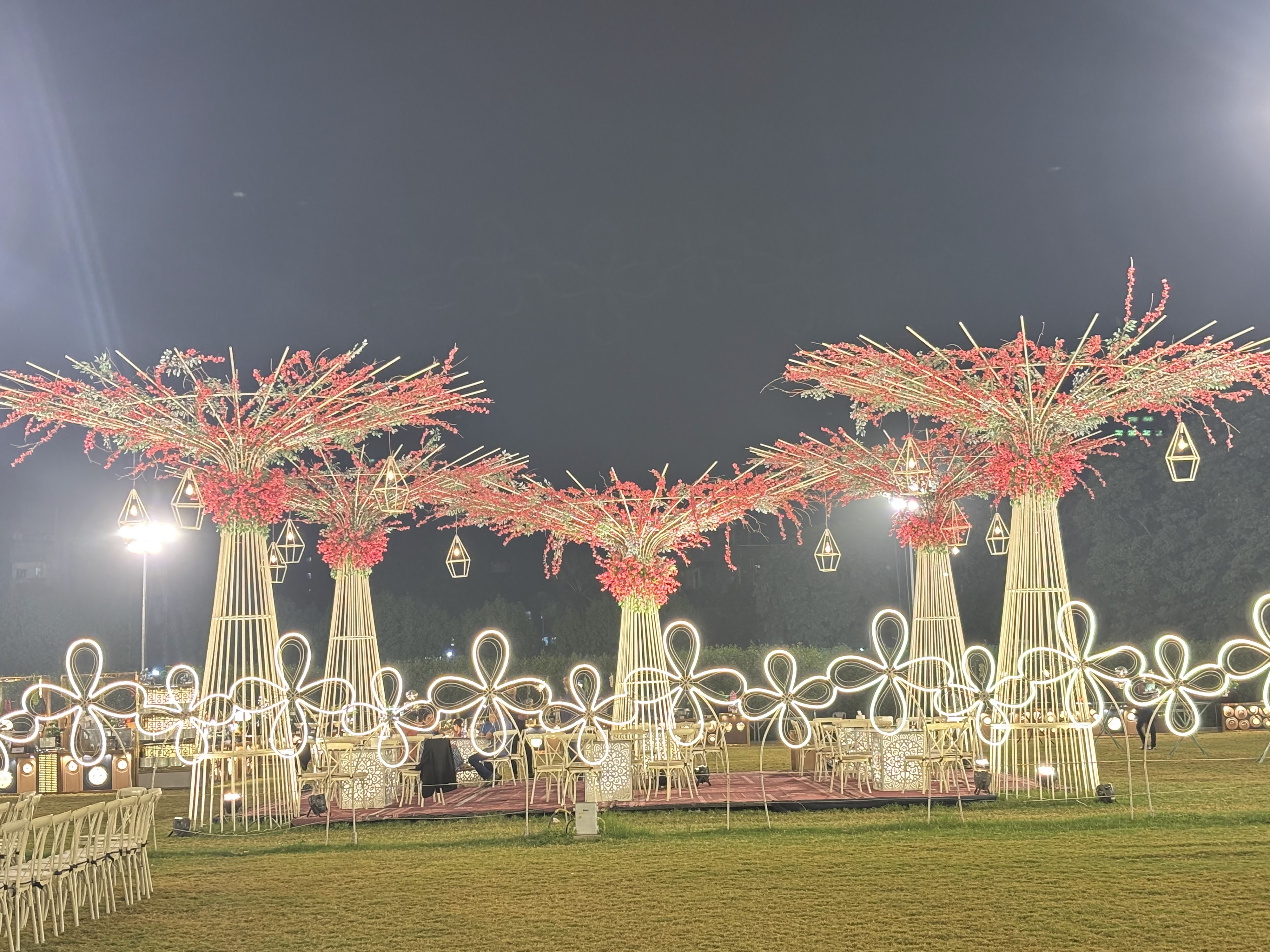 Purple Orchids, Surat — photo 6