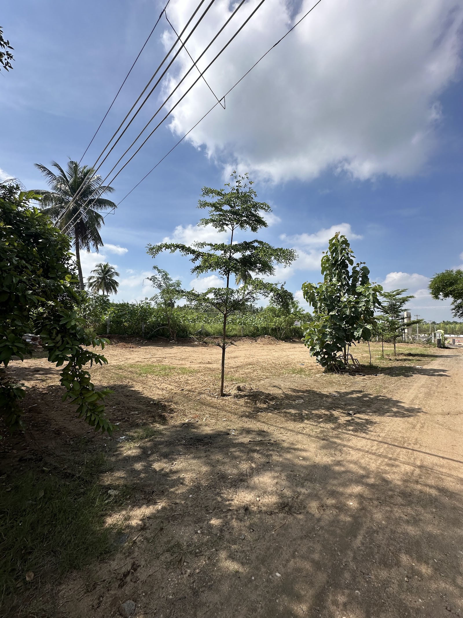 Raj Vizhaaham, Erode — photo 5