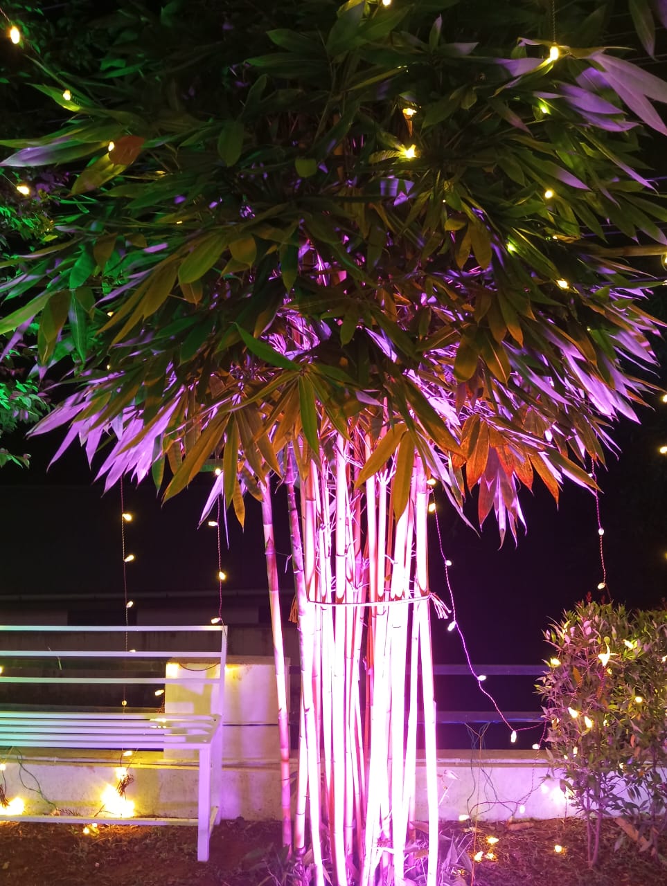 Hyra Events And Caters, Perinthalmanna — photo 5