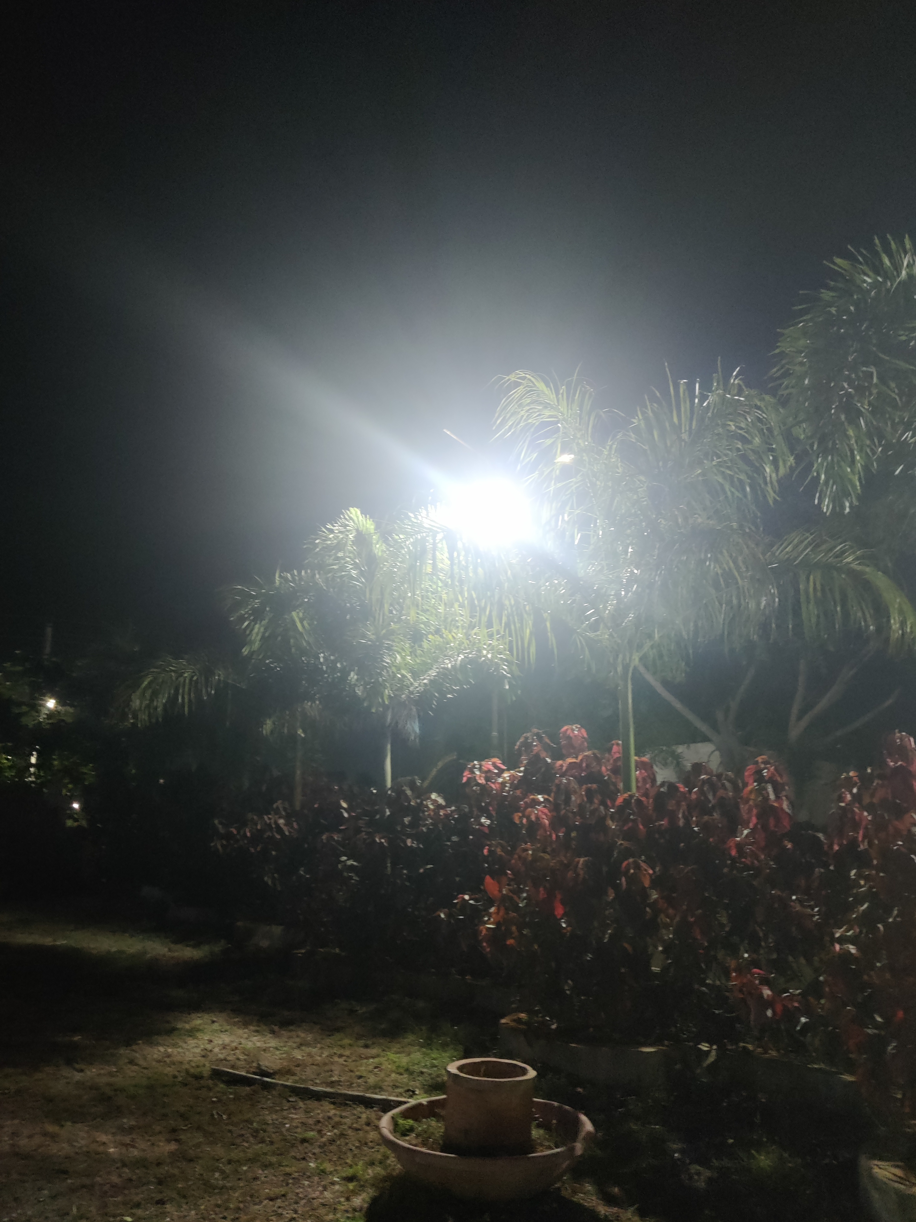 Achuri Gardens, Nalgonda — photo 8