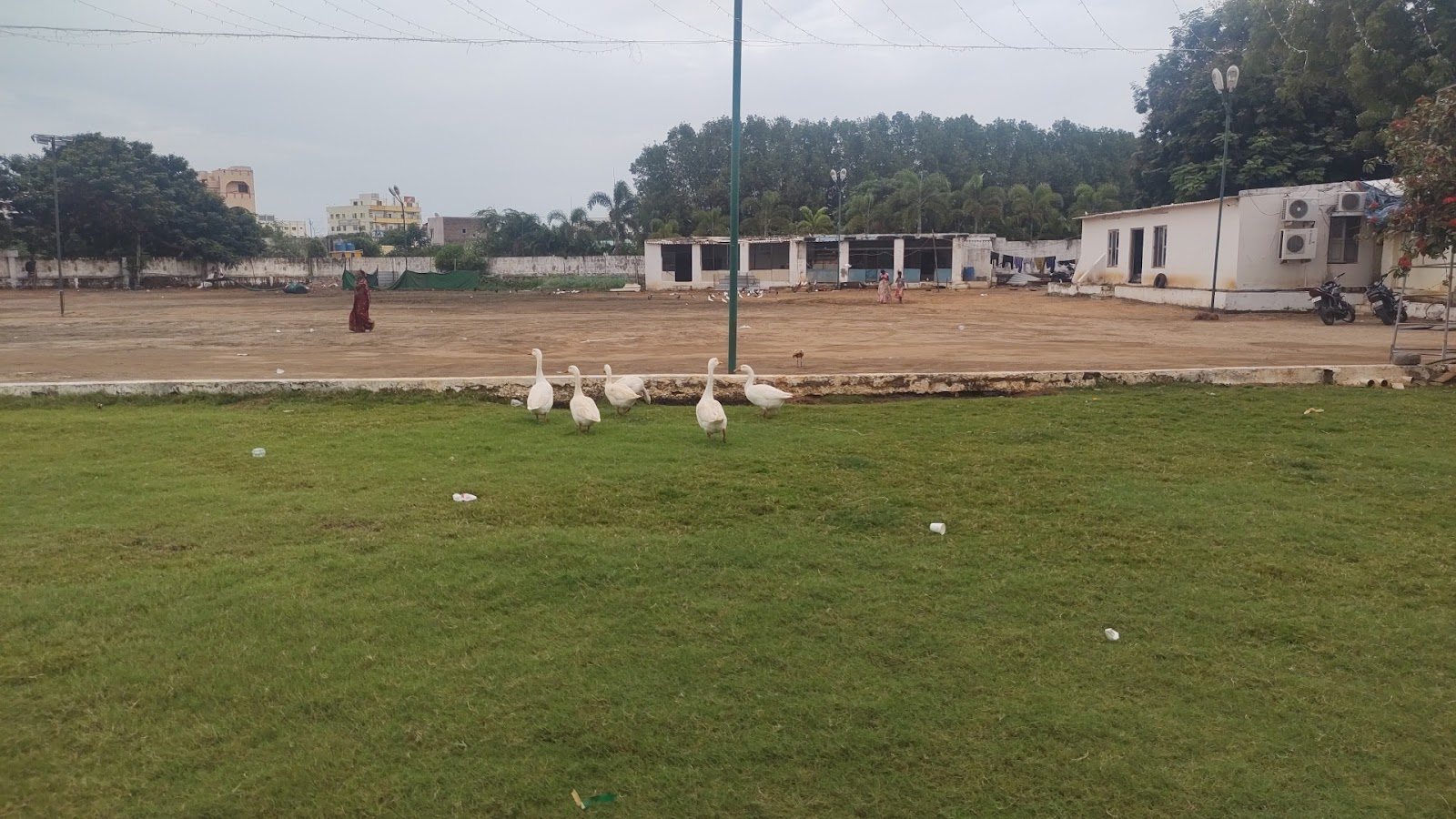 Anil Gardens, Nellore — photo 10