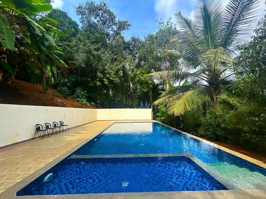 Jungle Hill Resort, Coorg, Madikeri — photo 6