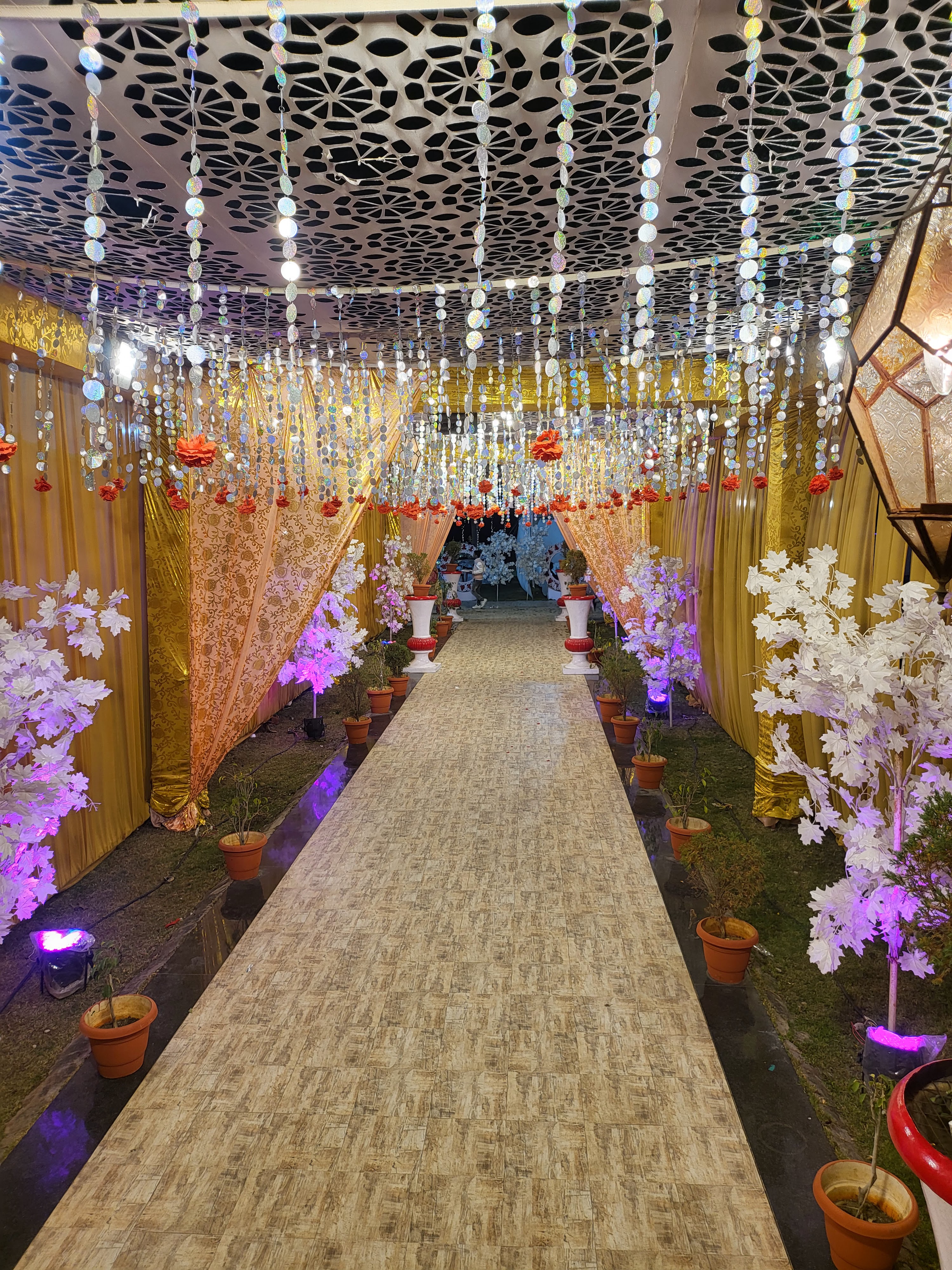 Four Seasons Lawn, Bhopal — photo 3