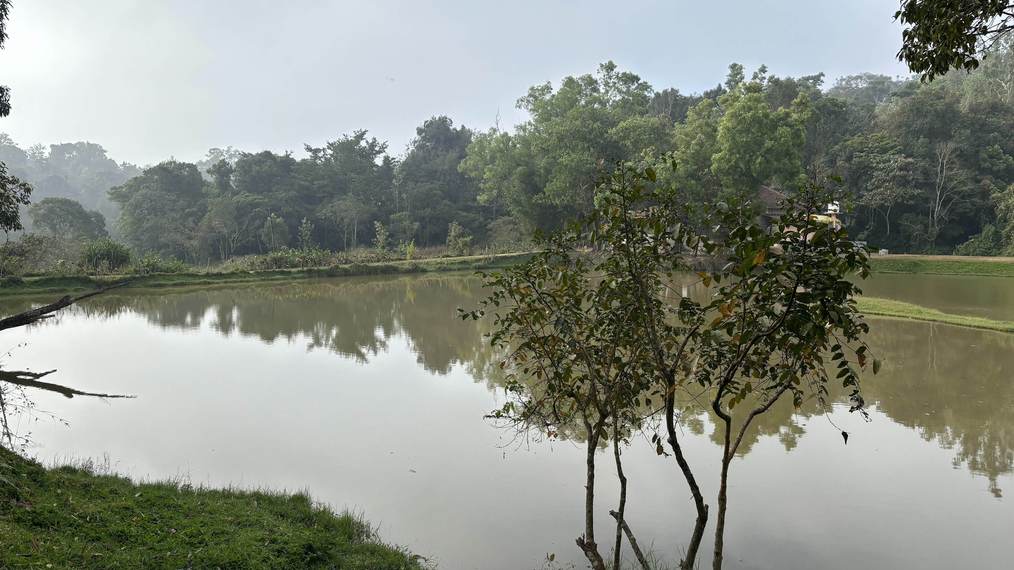 Capitol Village Resort, Madikeri — photo 3
