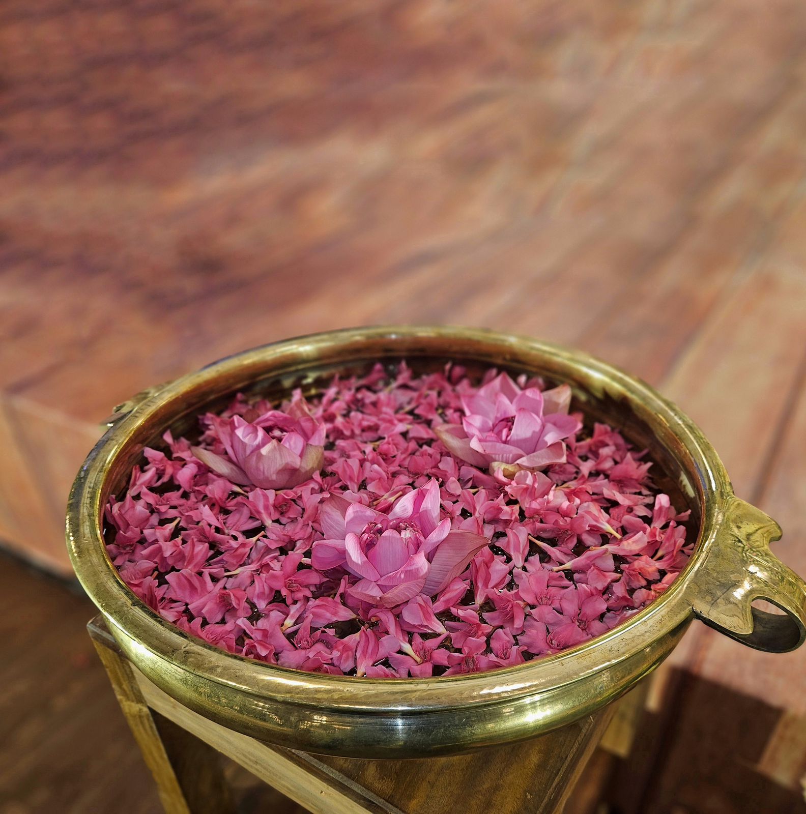 Eloria events & catering, Thodupuzha — photo 10
