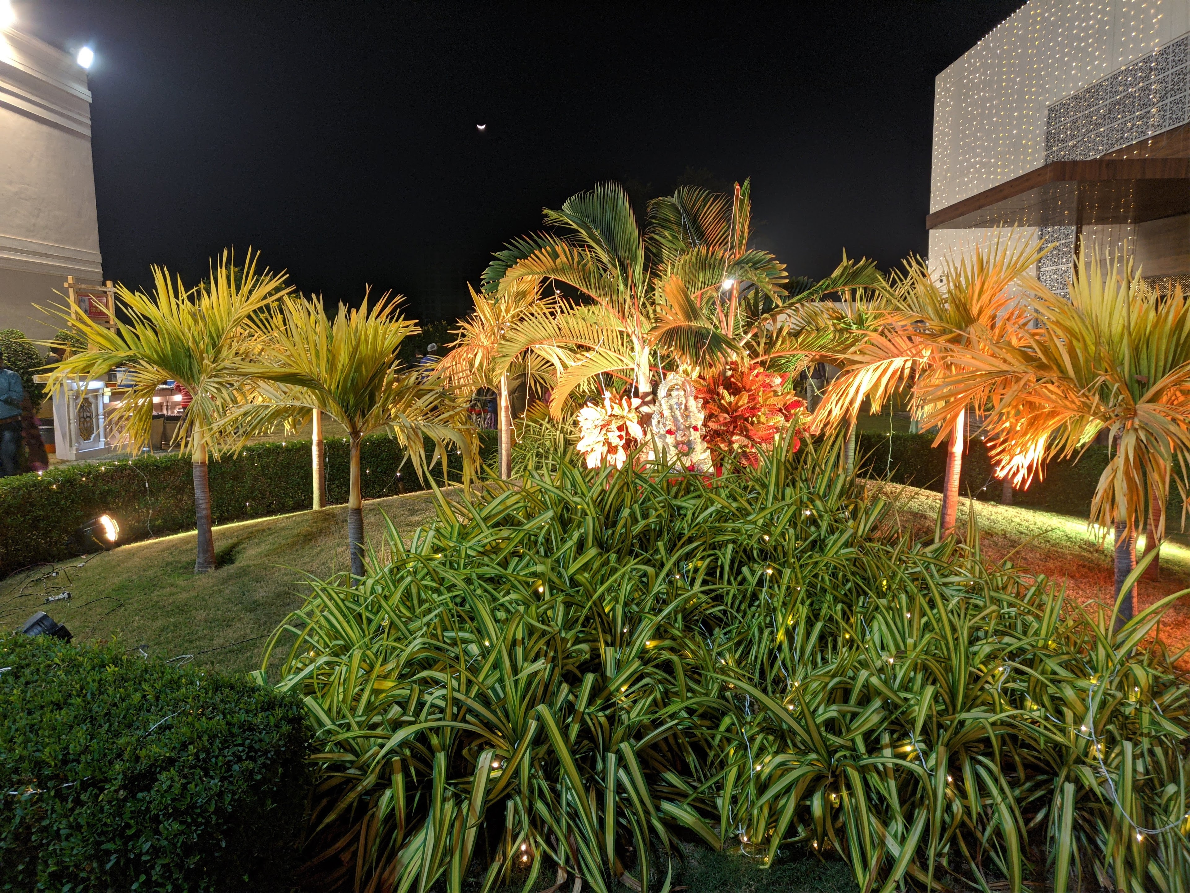 Grand Tulip, Vadodara — photo 10