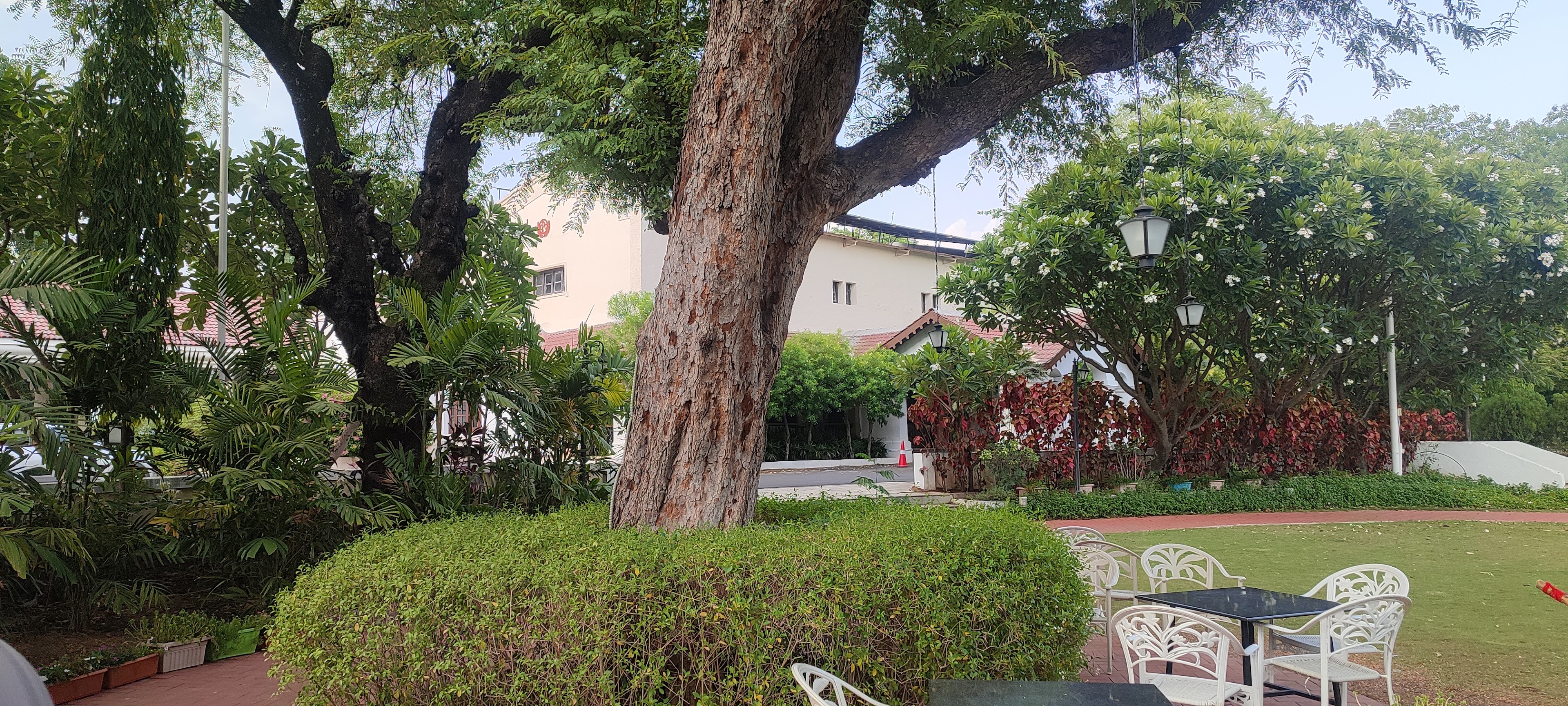 C P Club Lawn, Nagpur — photo 10