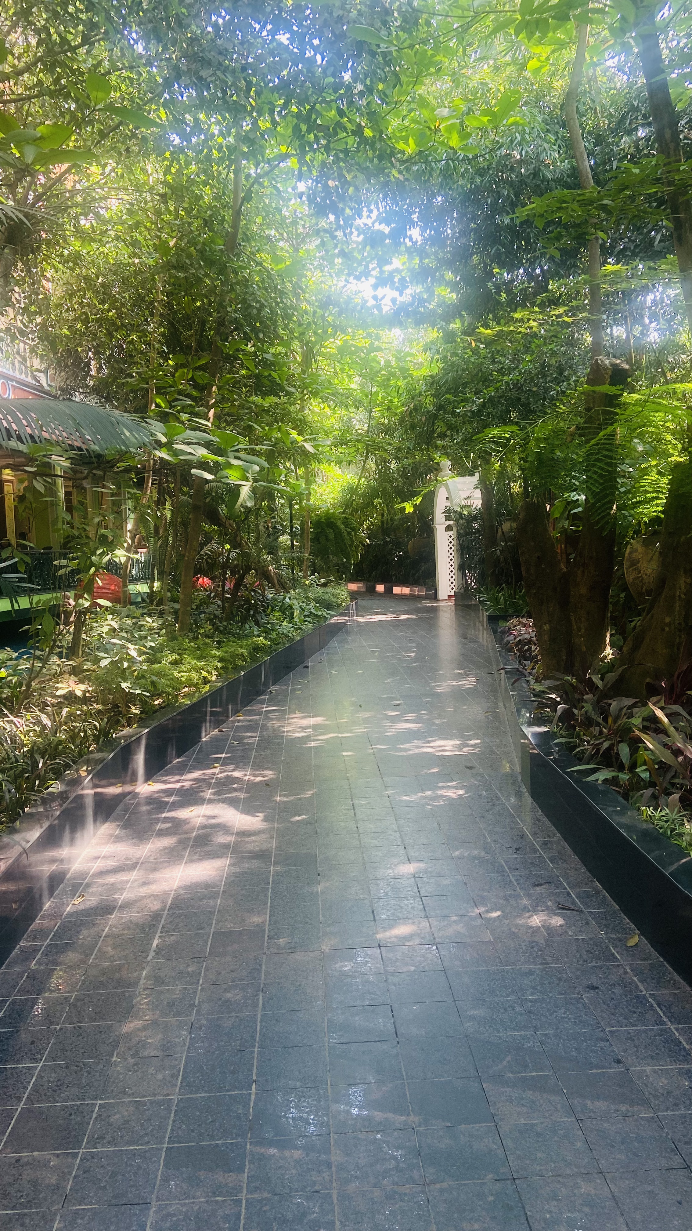 Lavender conference hall, Bhubaneswar — photo 10
