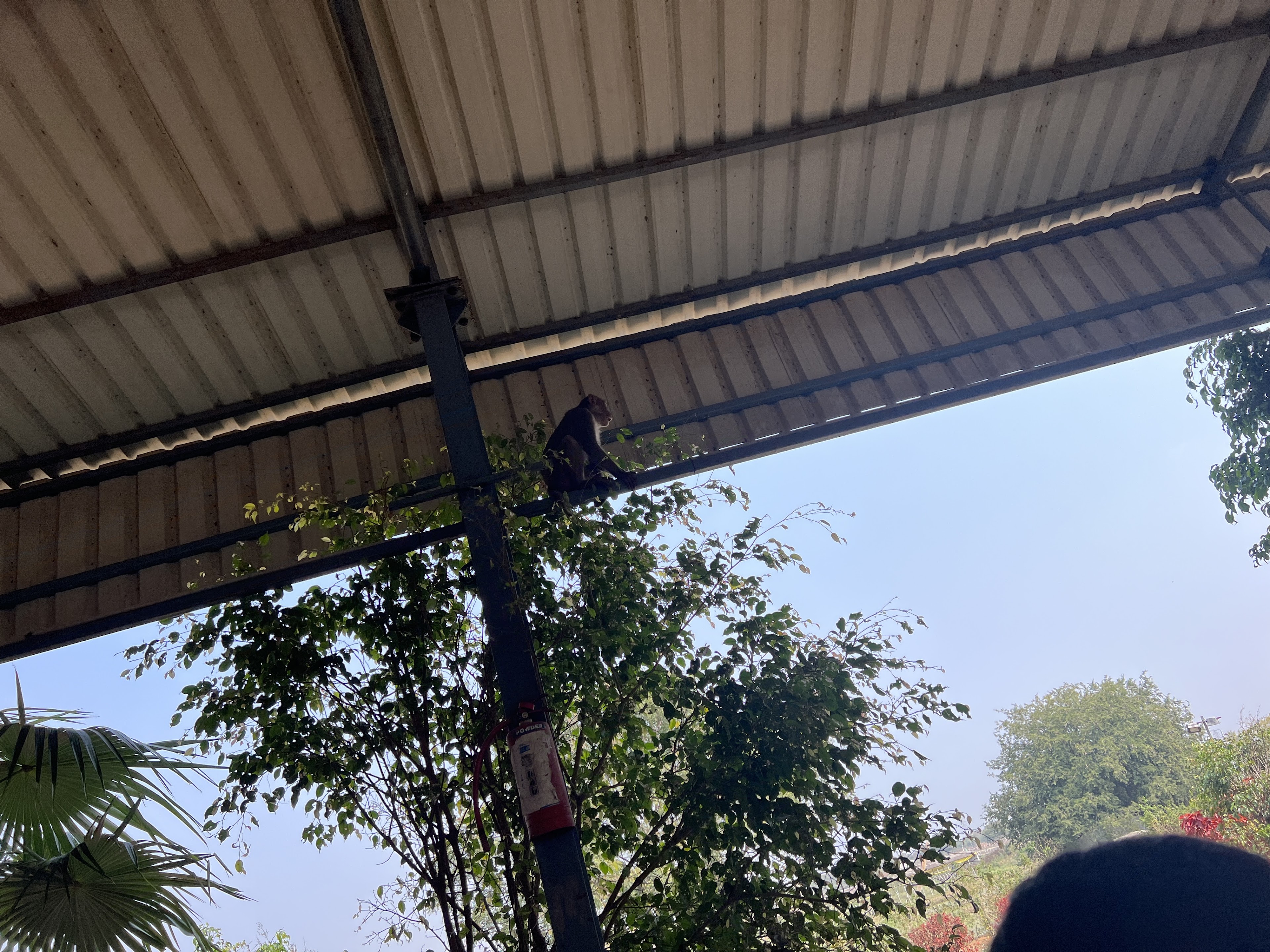 Mokidi narsimha function Hall, Siddipet — photo 4