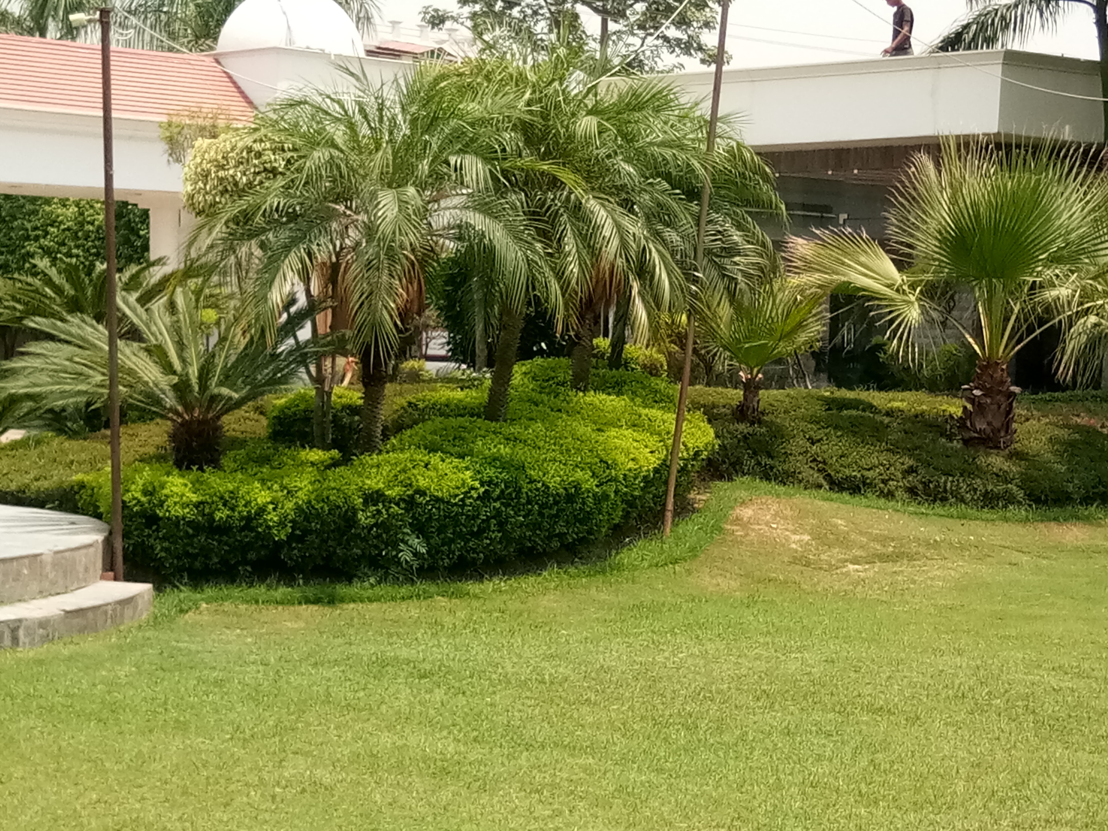 Swarn Farms, Bareilly — photo 8