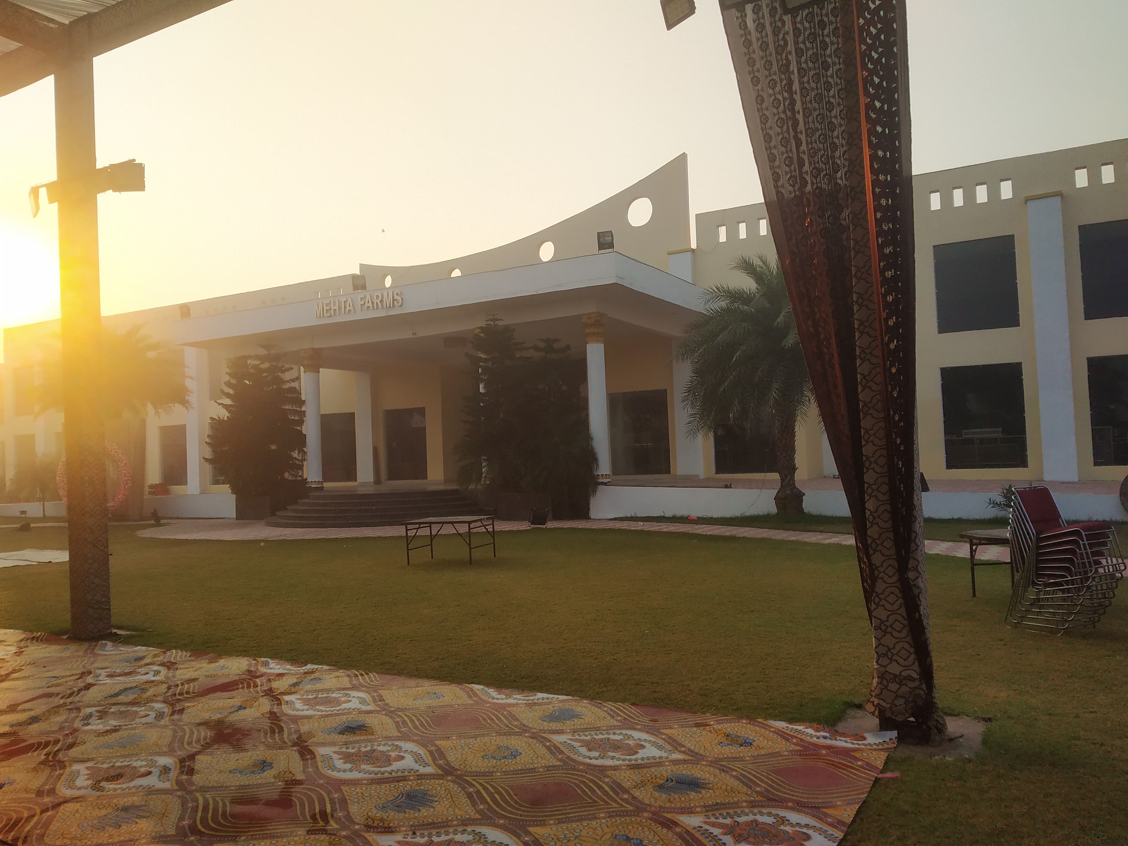 Mehta farms, Panipat — photo 5