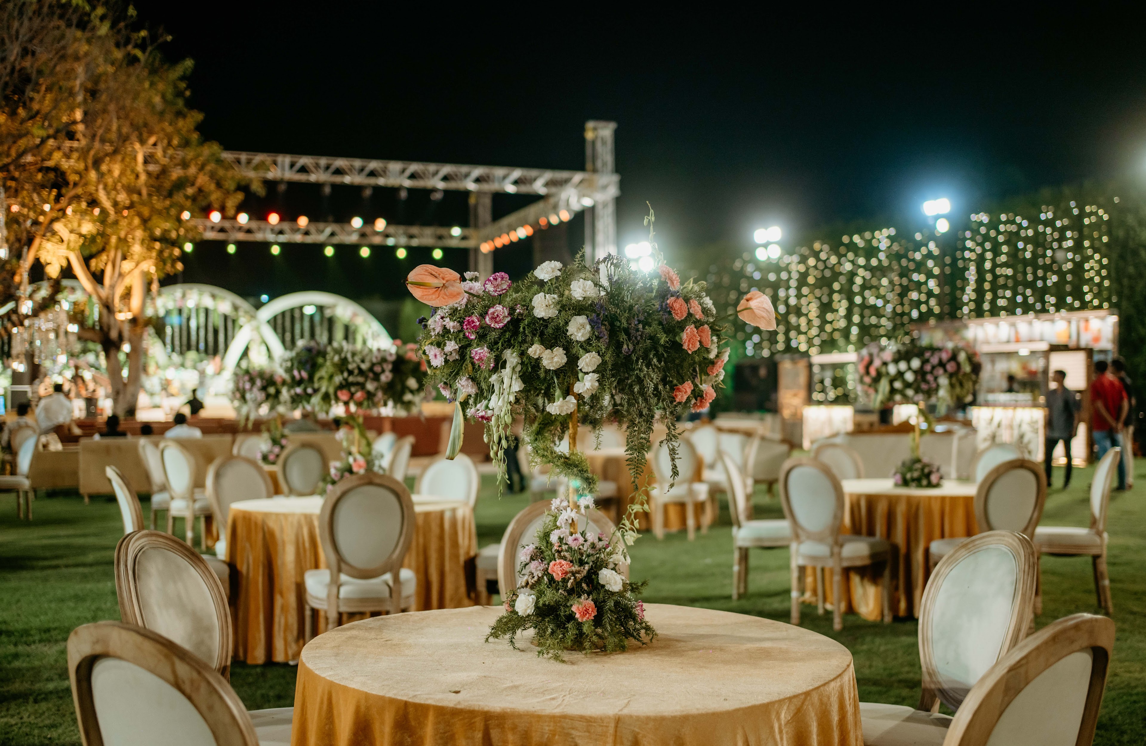 Gauri Greens: Marriage Garden in Bhopal | Wedding Venues & Lawn | Birthday Party Hall, Bhopal — photo 9