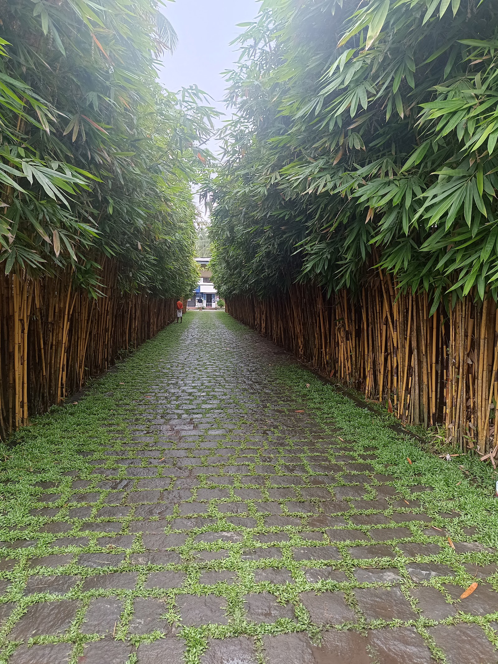 PM PALACE, Thrissur — photo 3