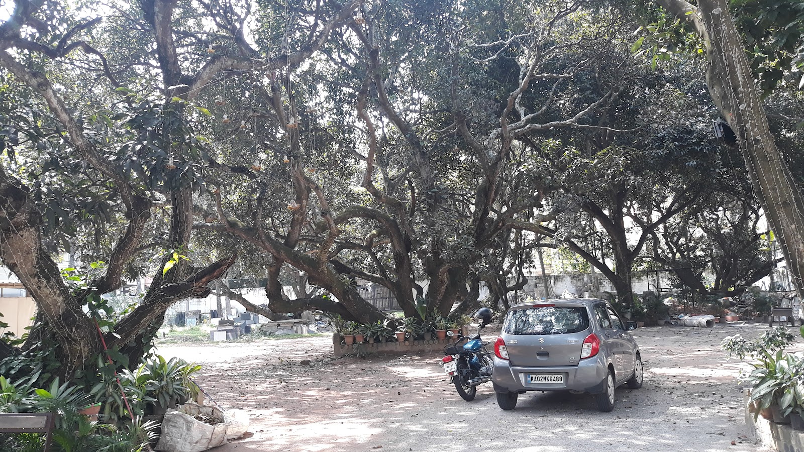 Balan Orchard, Bengaluru — photo 10