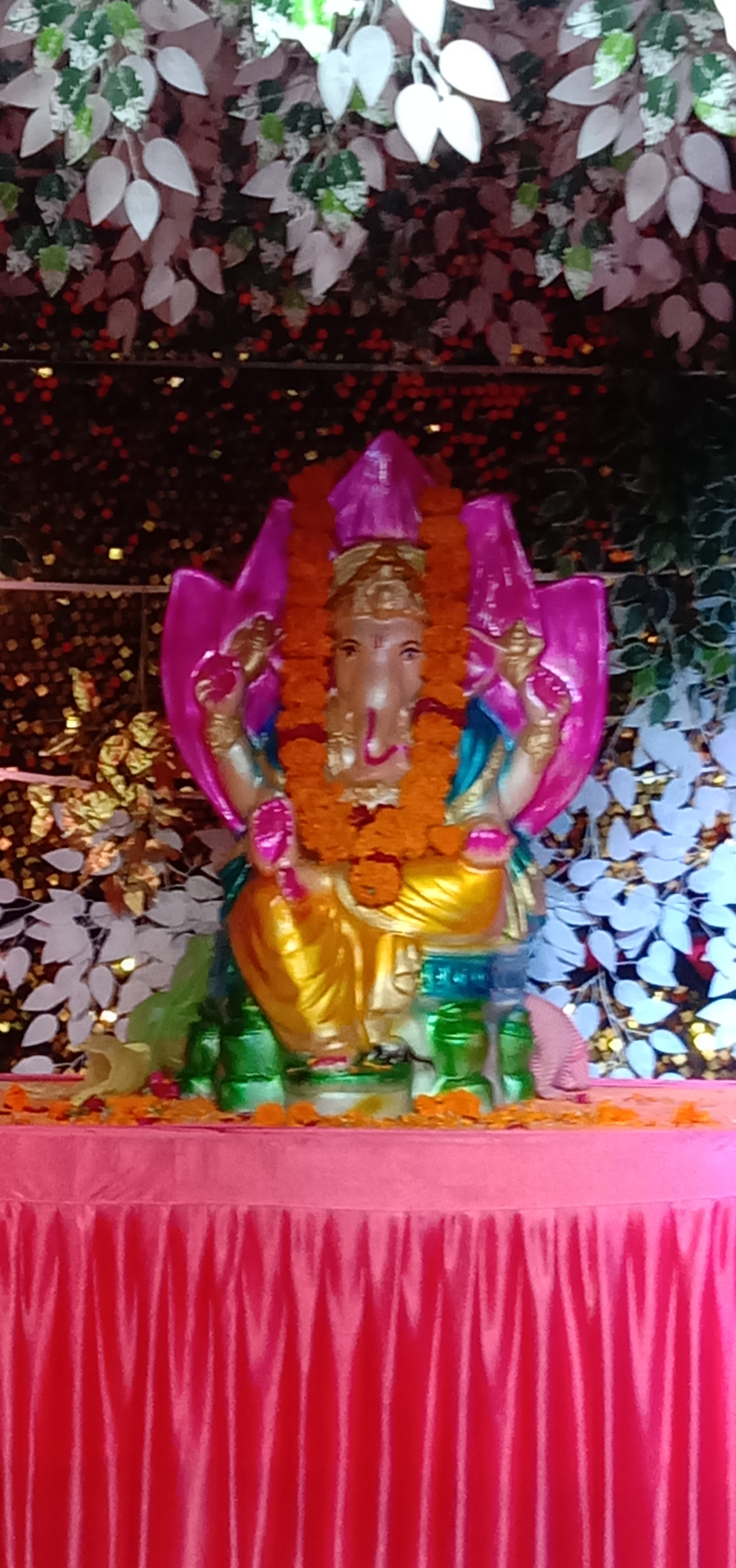 Parijaat Party Plot, Rajkot — photo 2