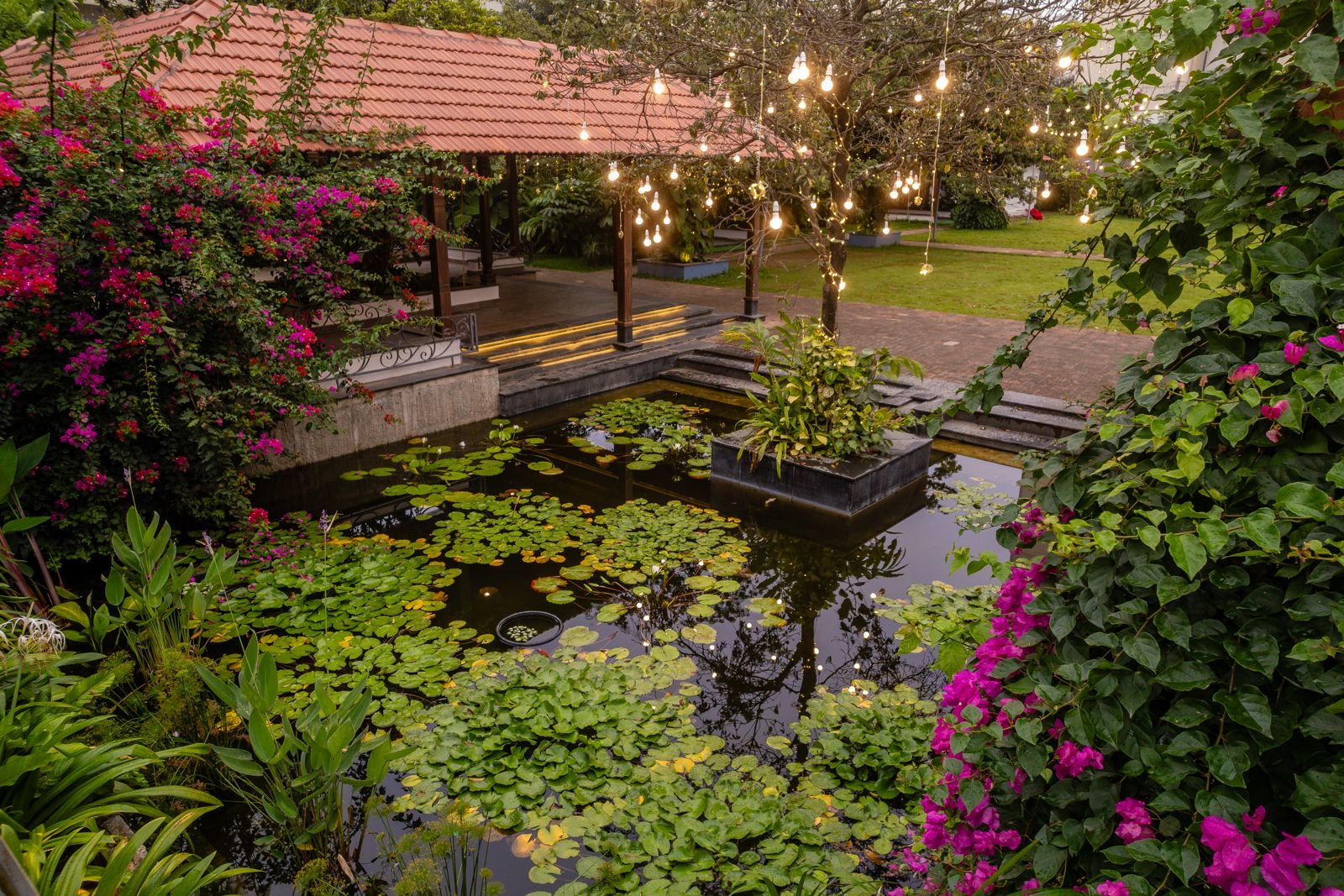 The Lily Pond, Bengaluru — photo 8