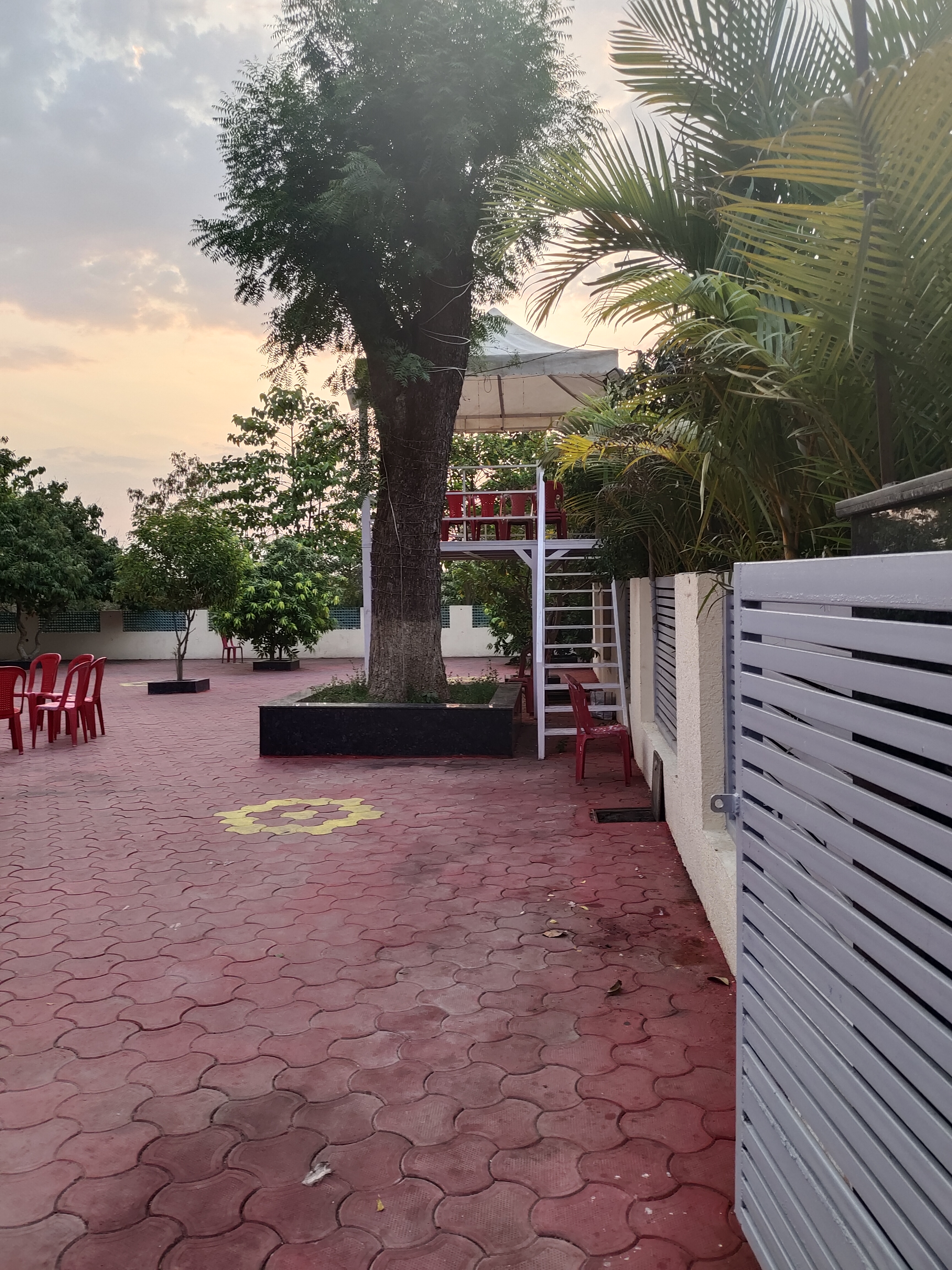 Palm tree house, Bhopal — photo 9