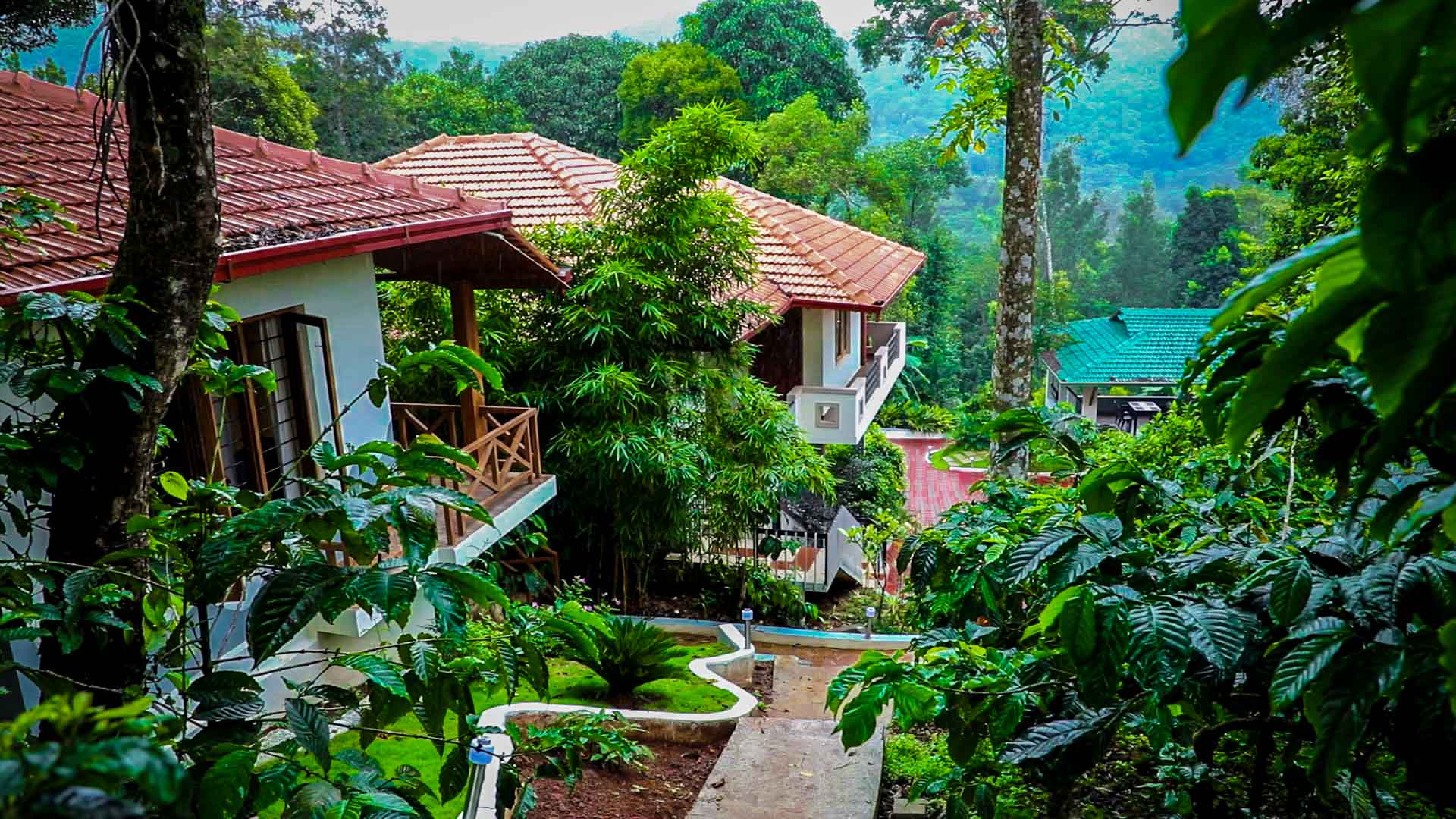 Jungle Hill Resort, Coorg, Madikeri — photo 5