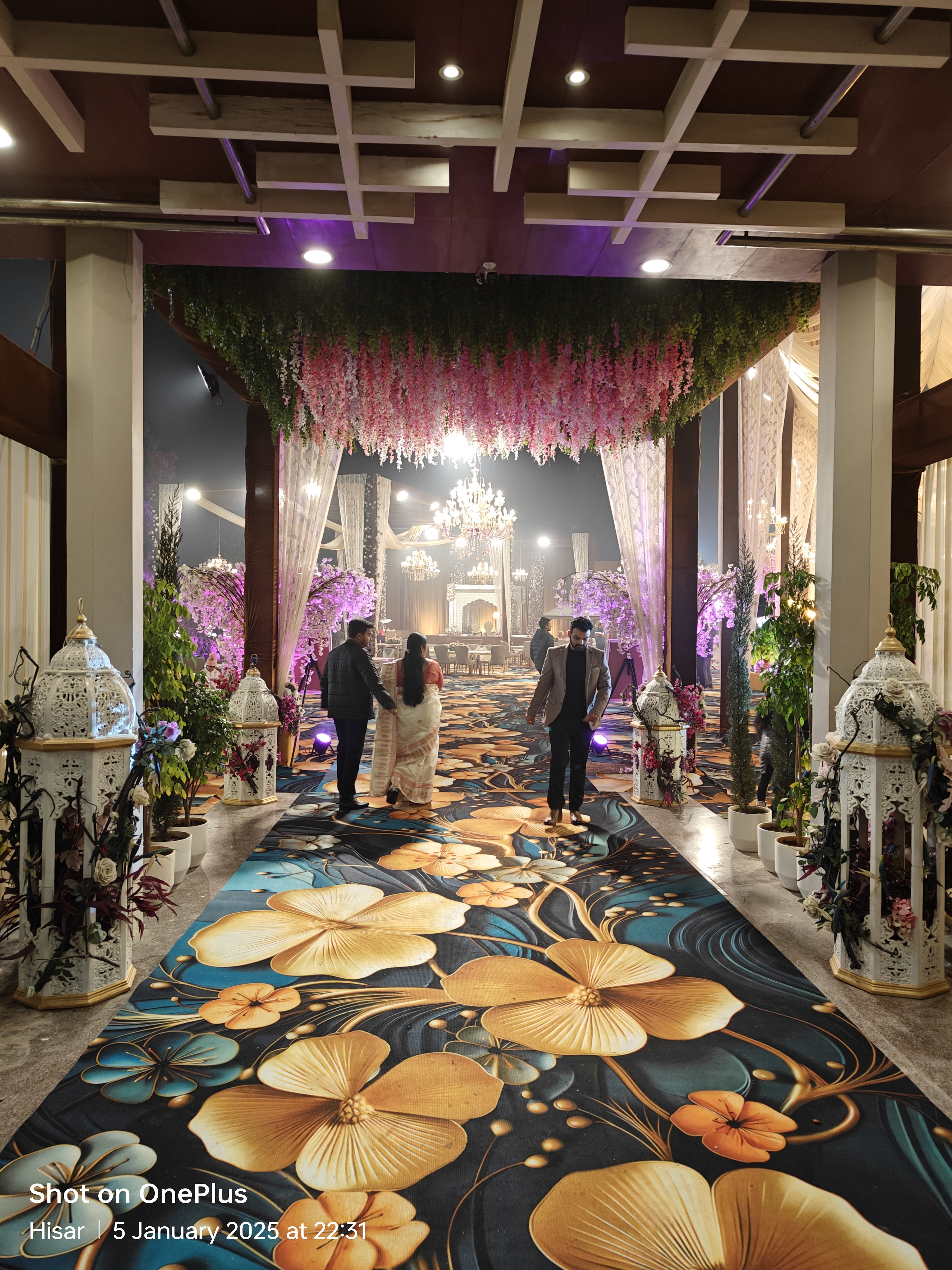 Millennium Palace and Resort, Hisar — photo 8
